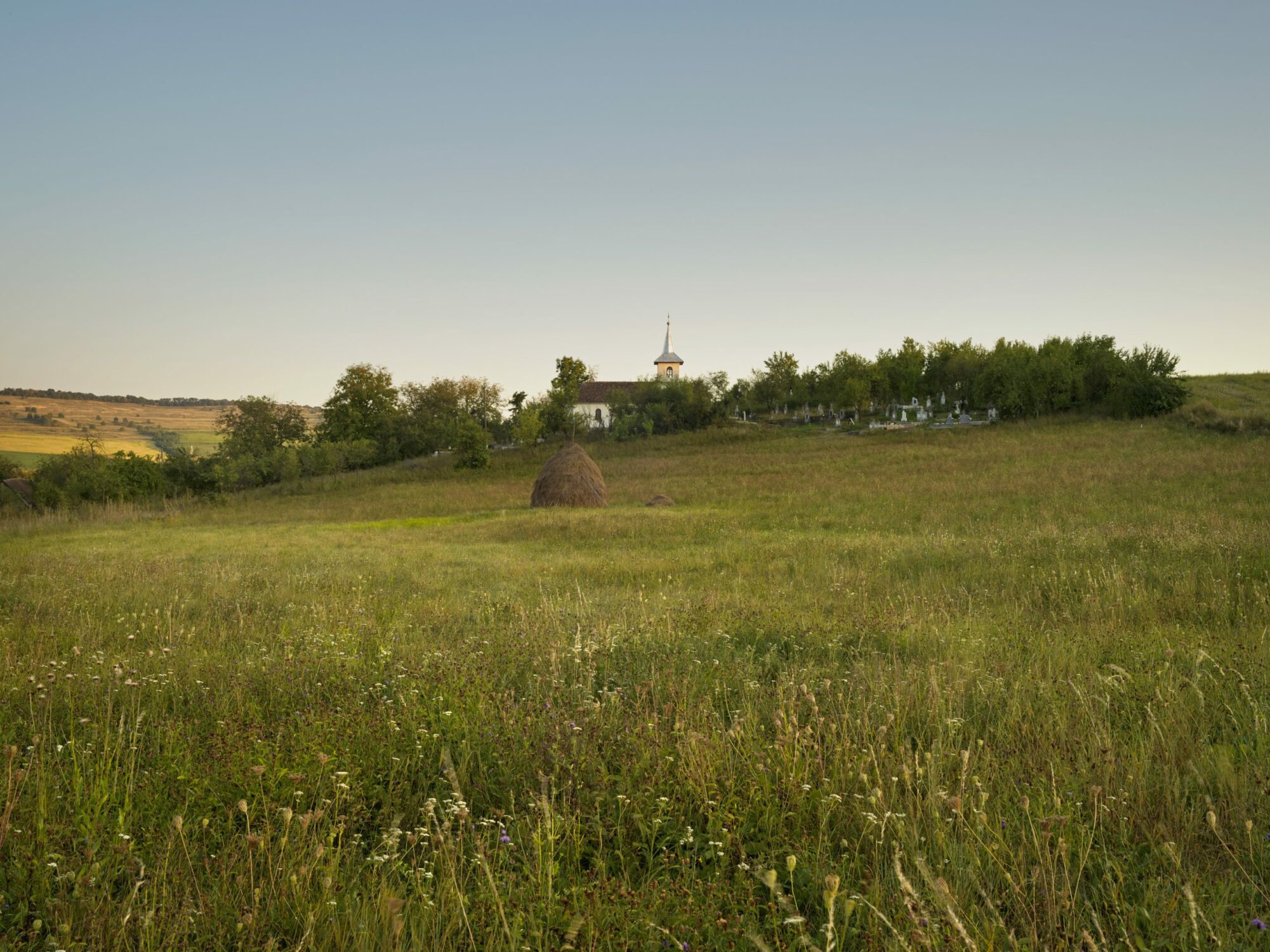 A Dutch Greenhouse in Capusu Mare Romania