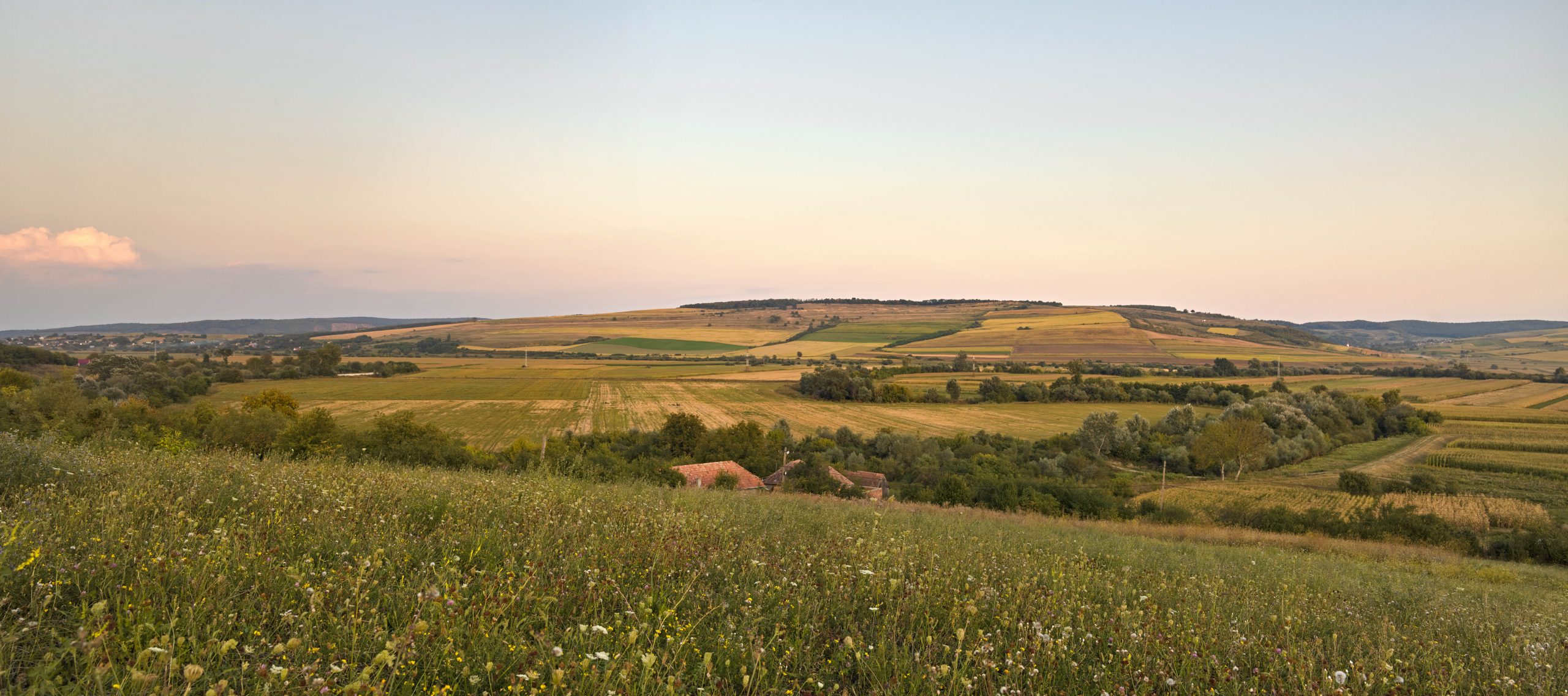 A Dutch Greenhouse in Capusu Mare Romania