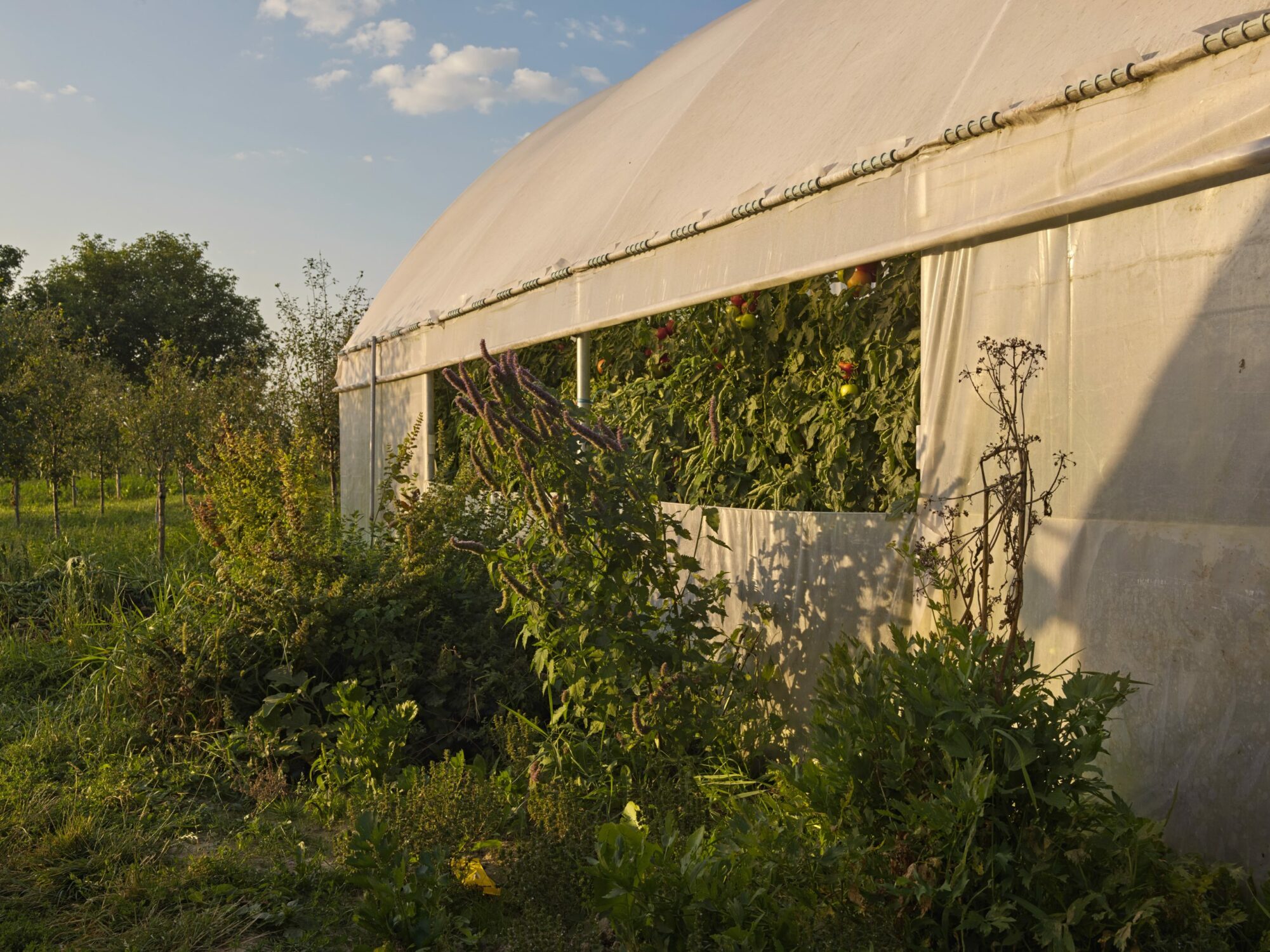 covered crops self-sufficient community food production photography project resilience food stories by ruud sies