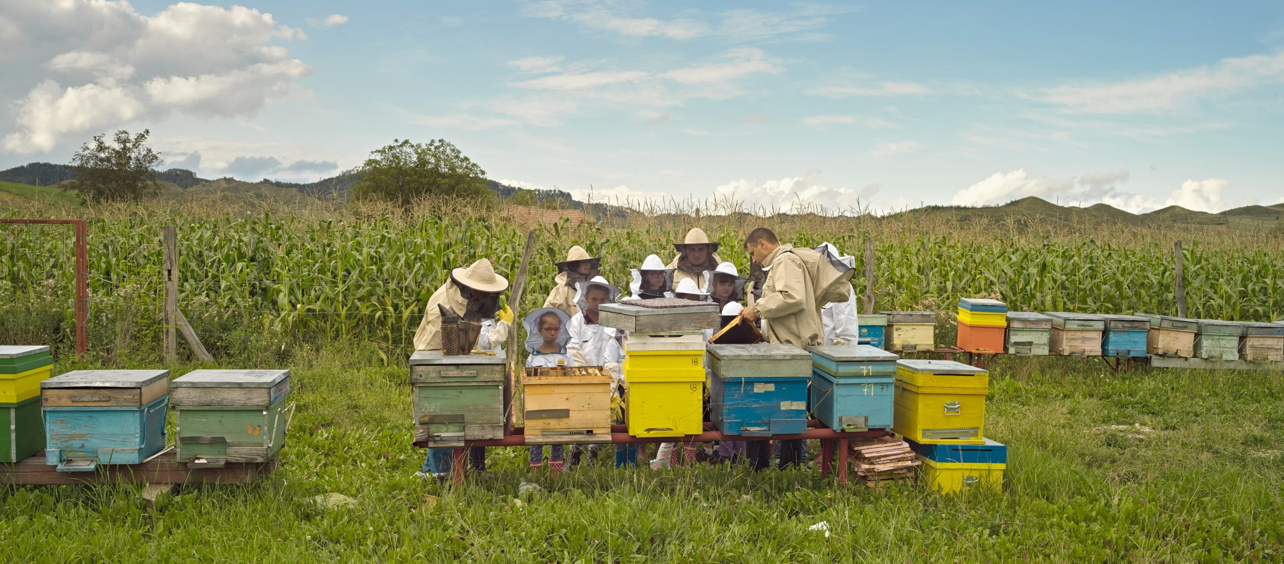 teaching about bumblebees portrait by photographer ruud sies @resiliencefoodstories