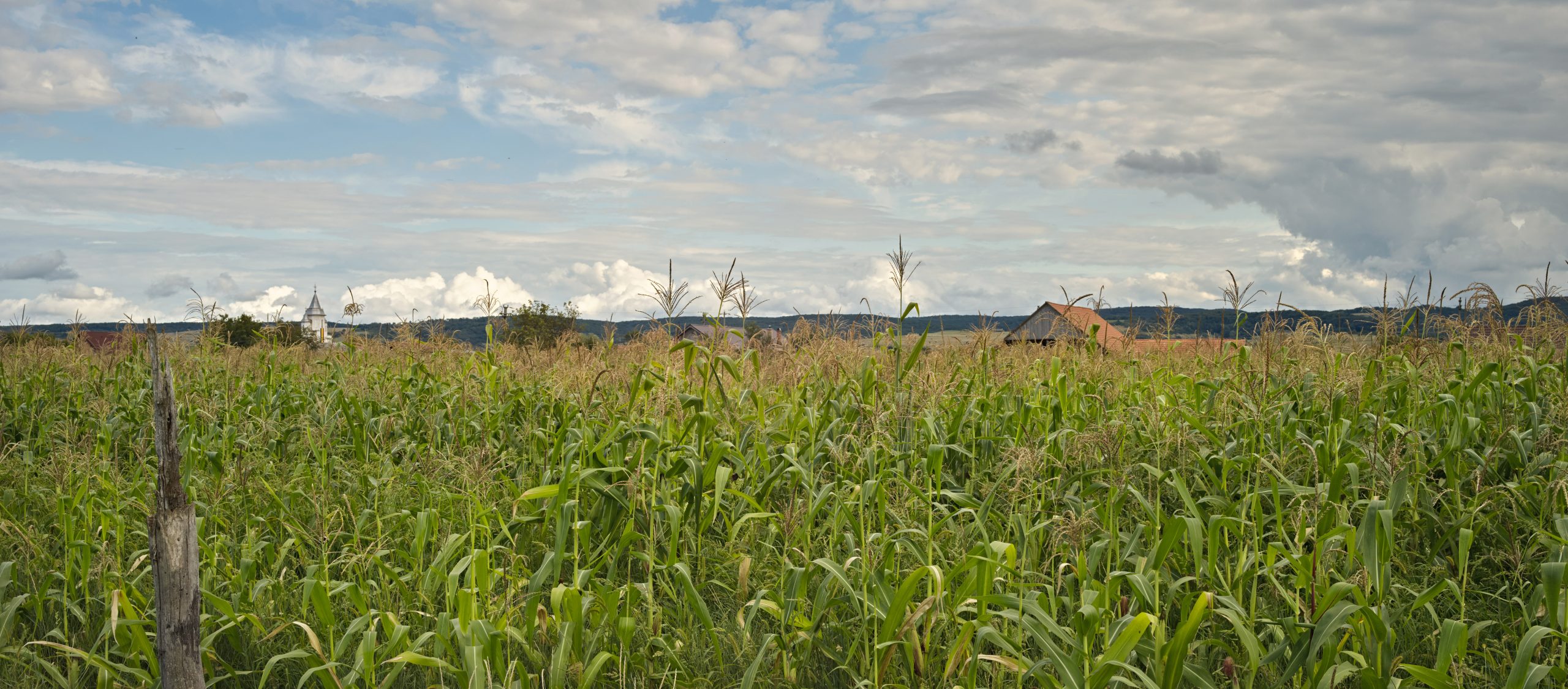 Transylvanian landscape by Photographer Ruud Sies for Resilience Food Stories