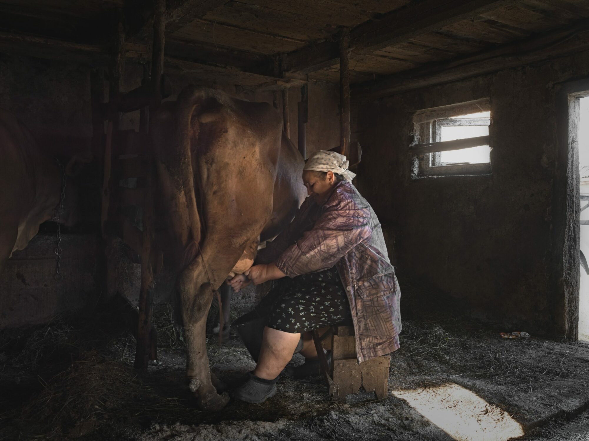 portrait maramures self sufficiency and biodiversity photographer ruud sies