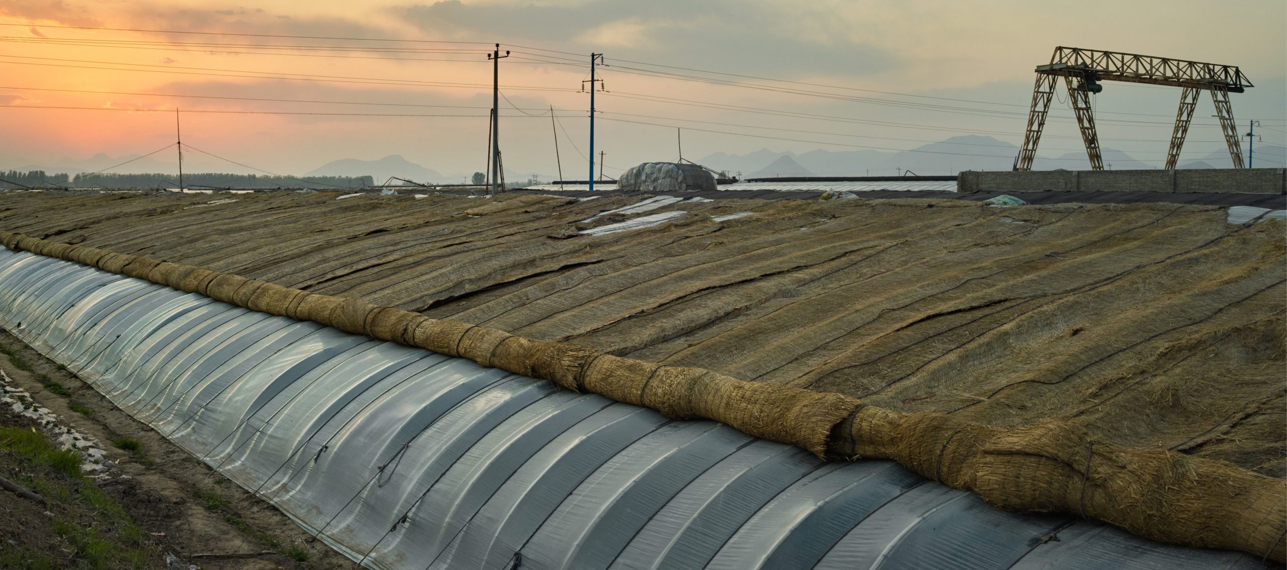 Landscape Solar Greenhouses by photographer Ruud Sies for www.resiliencefoodstories.com