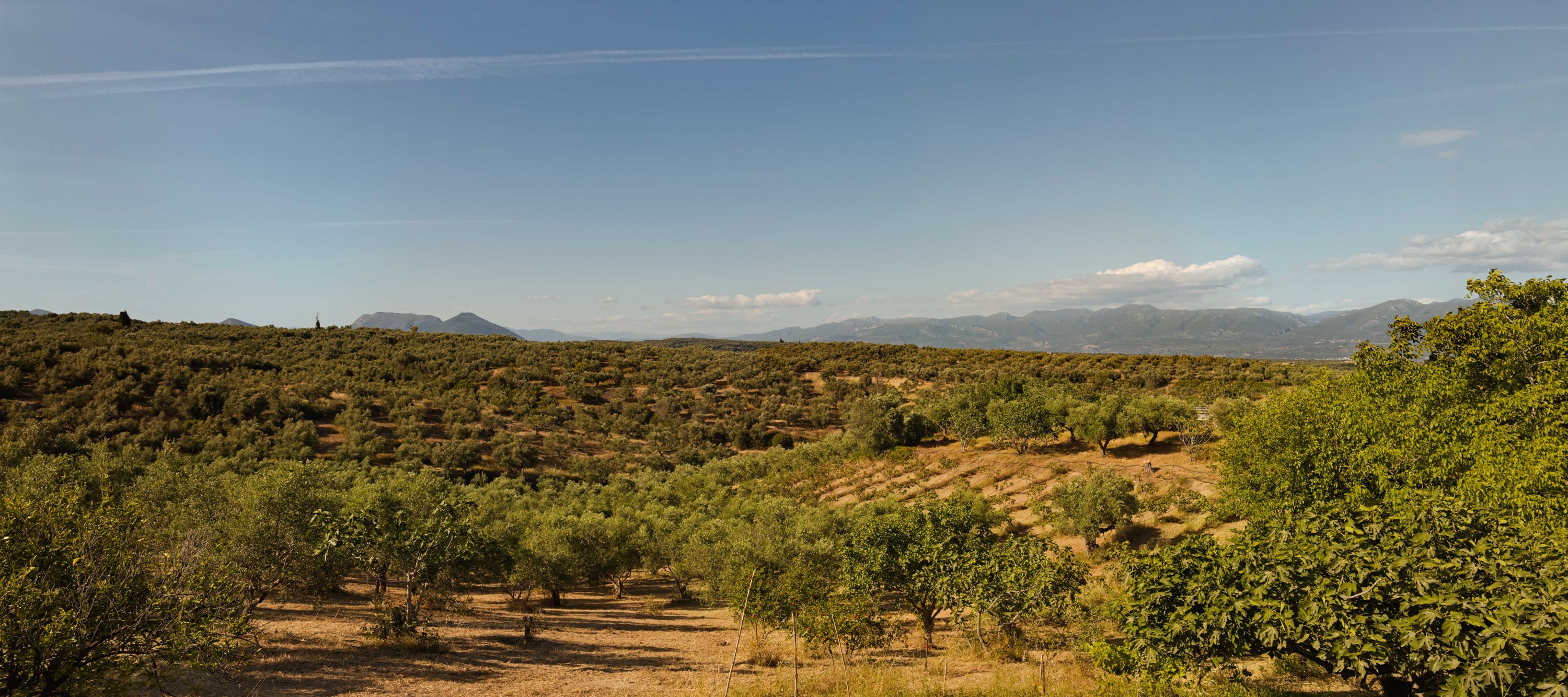 A love story told at Resilience Food Stories in Greece by photographer Ruud Sies