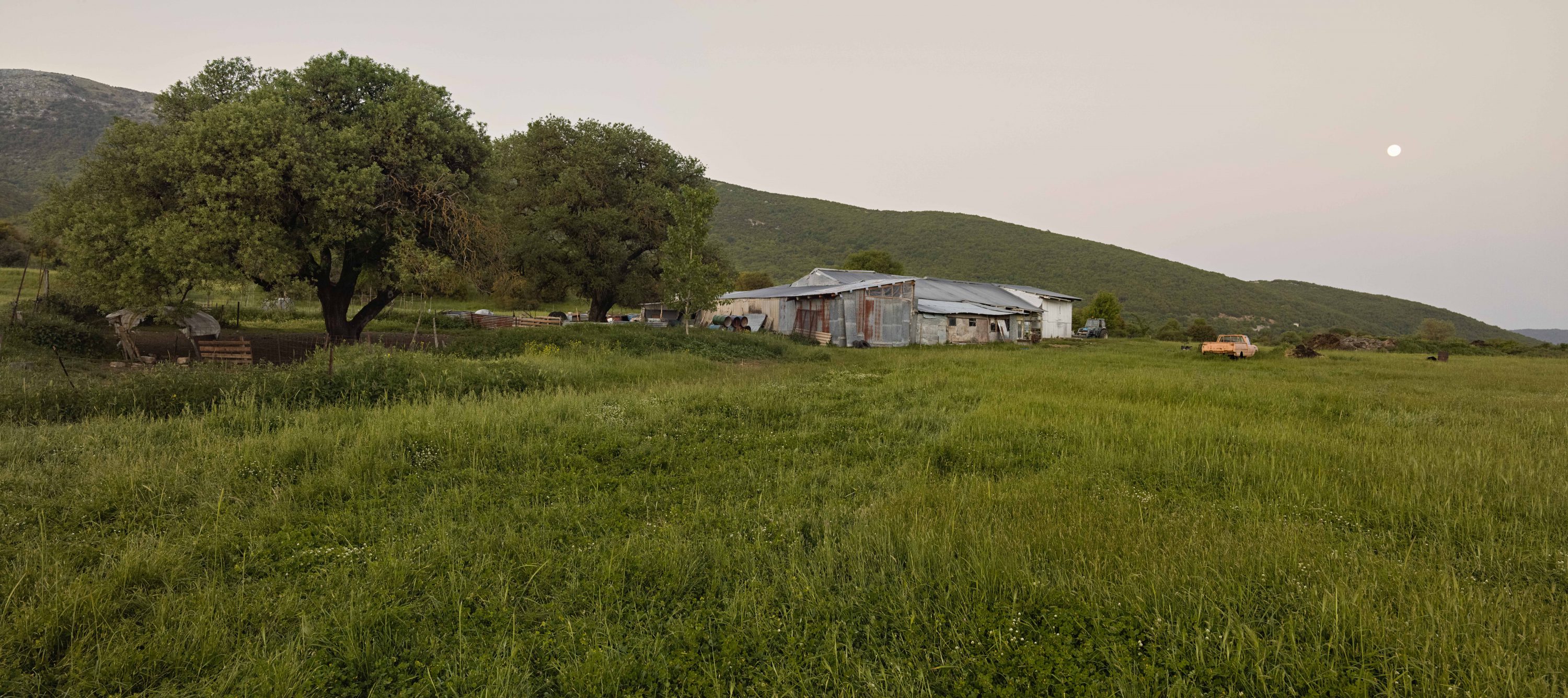 Story for Resilience Food Stories in Greece by photographer Ruud Sies