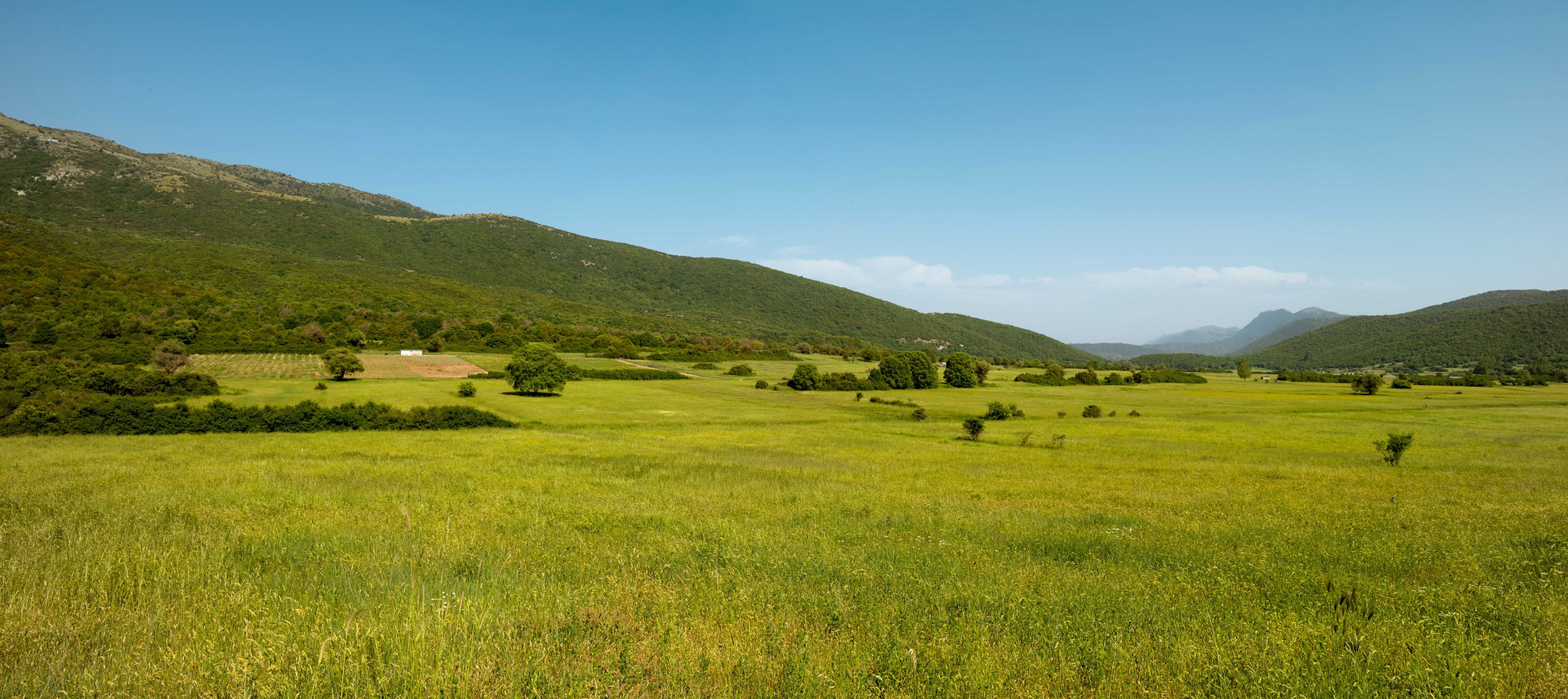 Landscape a story for Resilience Food Stories in Greece by photographer Ruud Sies
