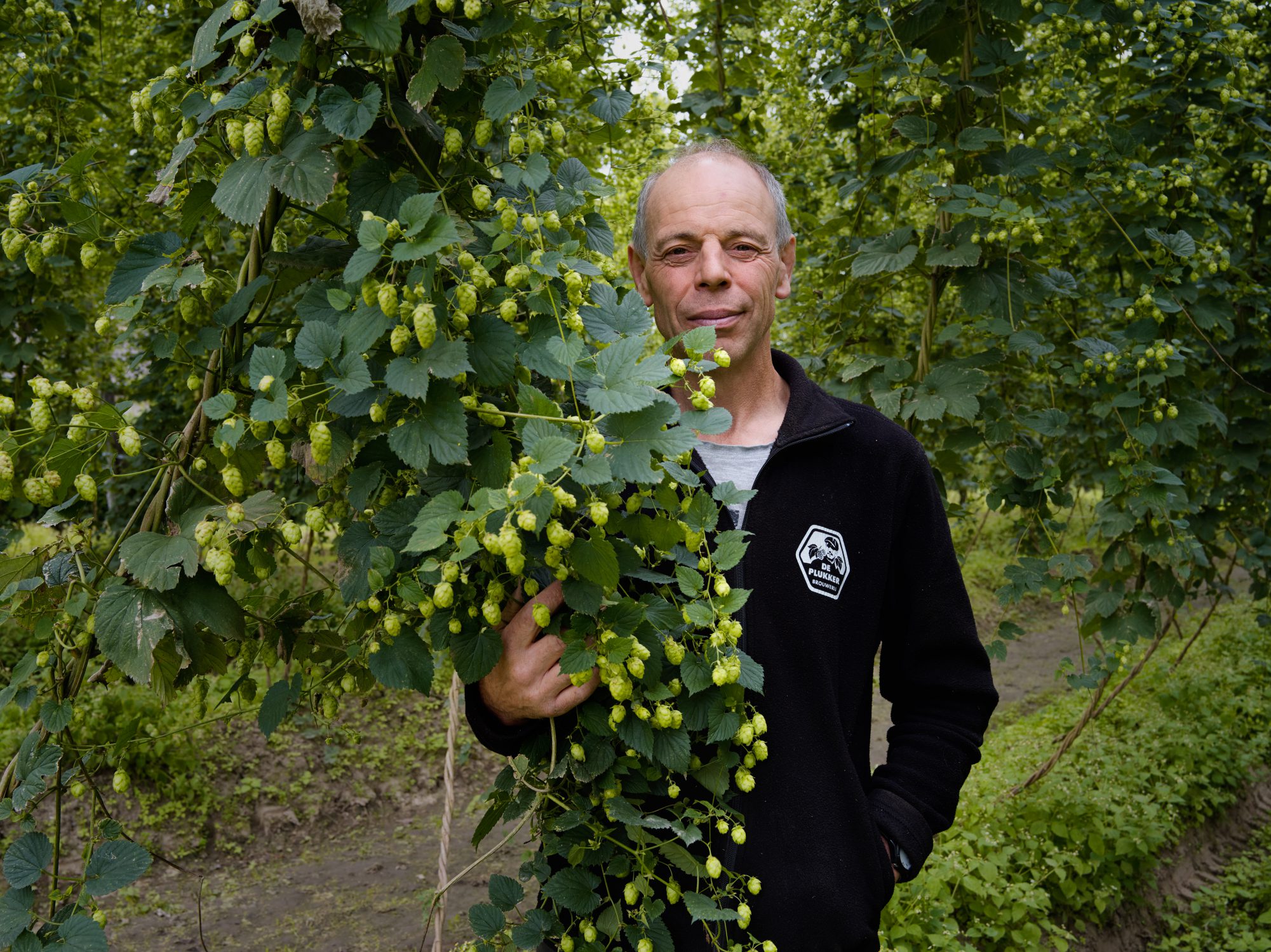 organic hop photography by ruud sies for resilience food stories