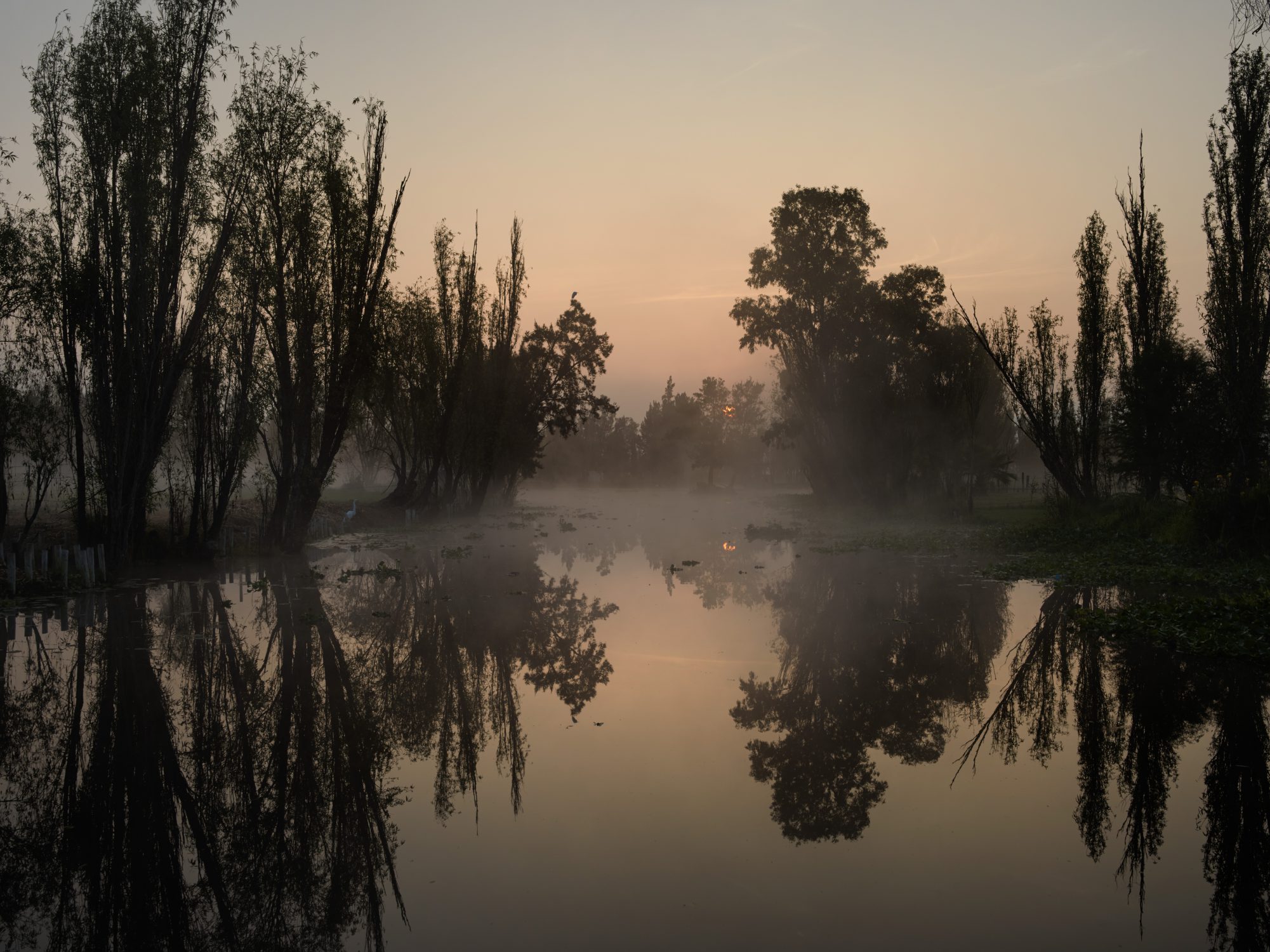 the-chinampas-of-mexico-city-resilience-food-stories