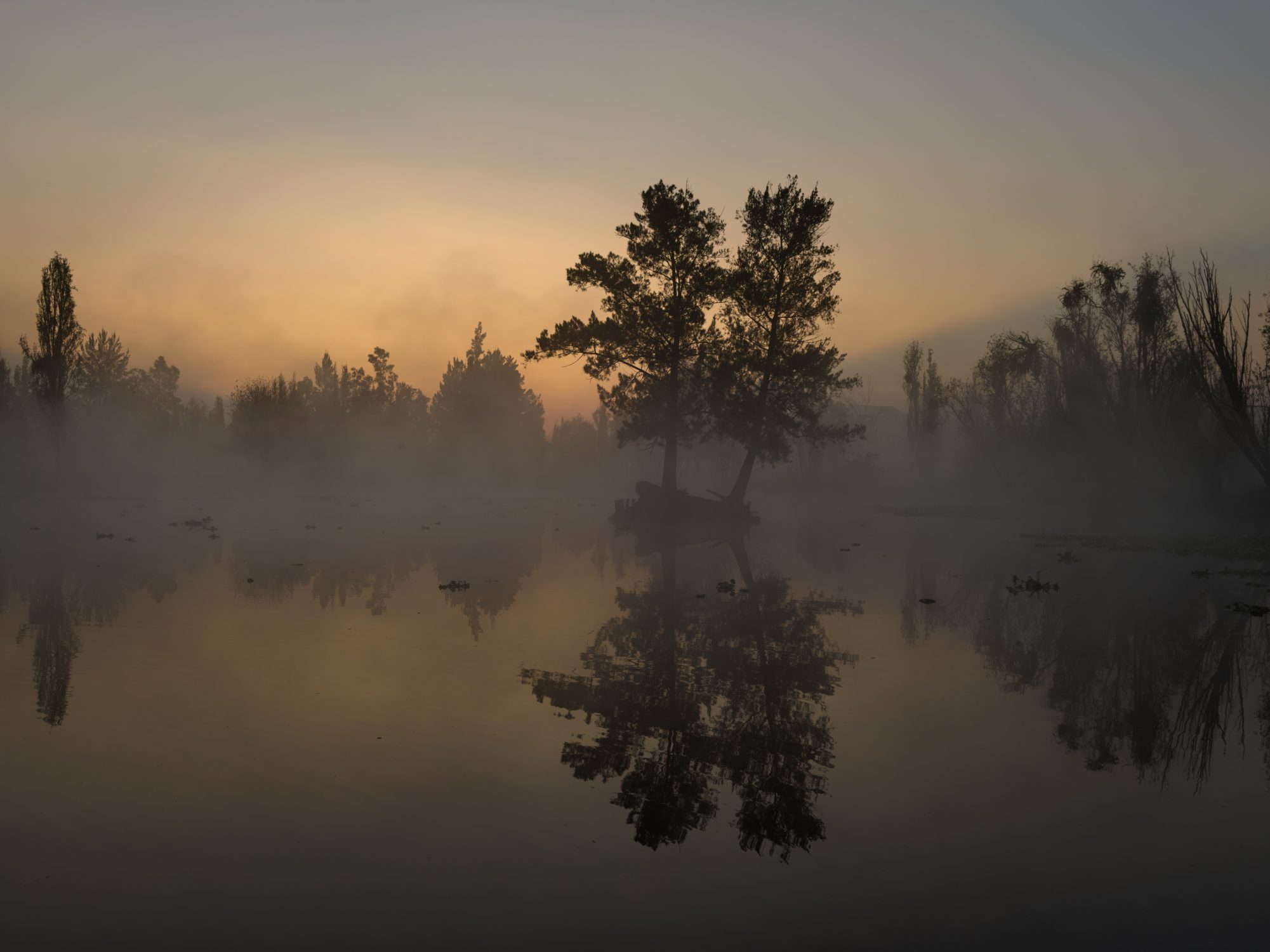 landscape Chinampas mexico city early morning by photographer Ruud Sies