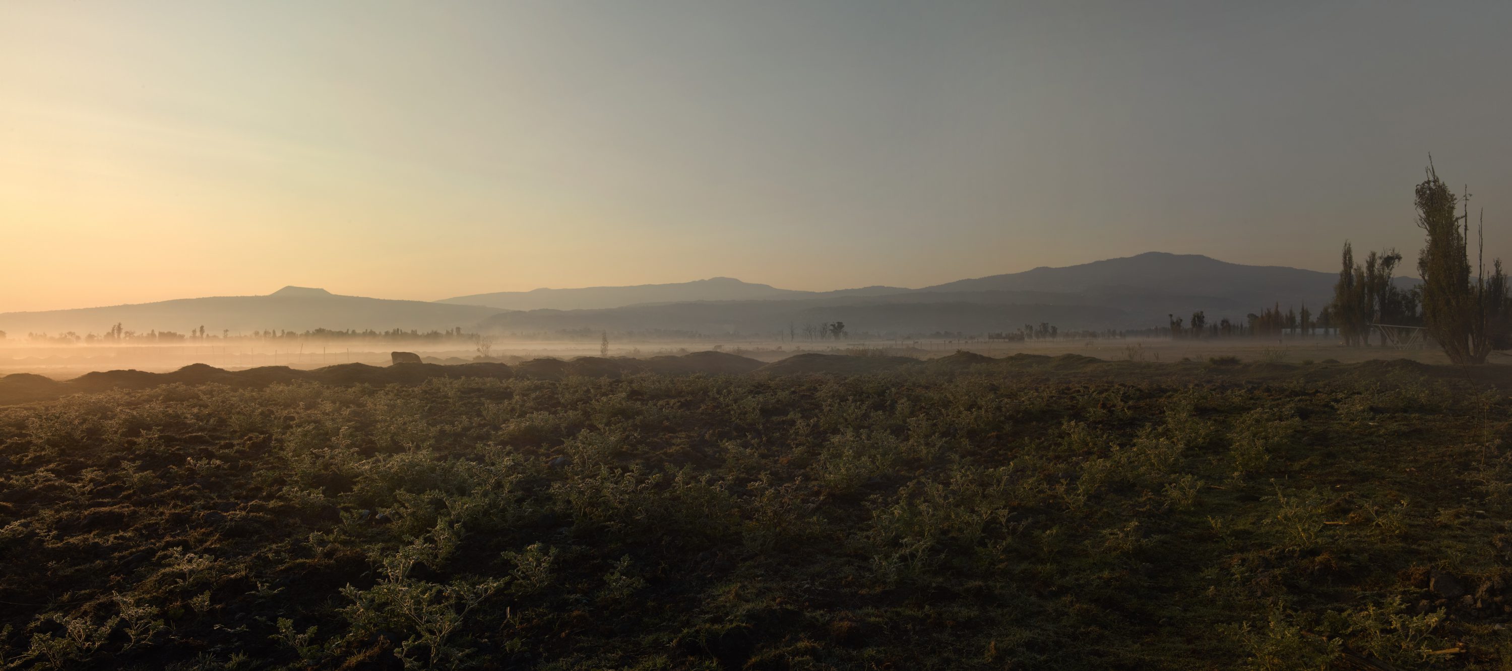 landscape early morning visiting the Chinampas mexico-city © by photographer Ruud Sies