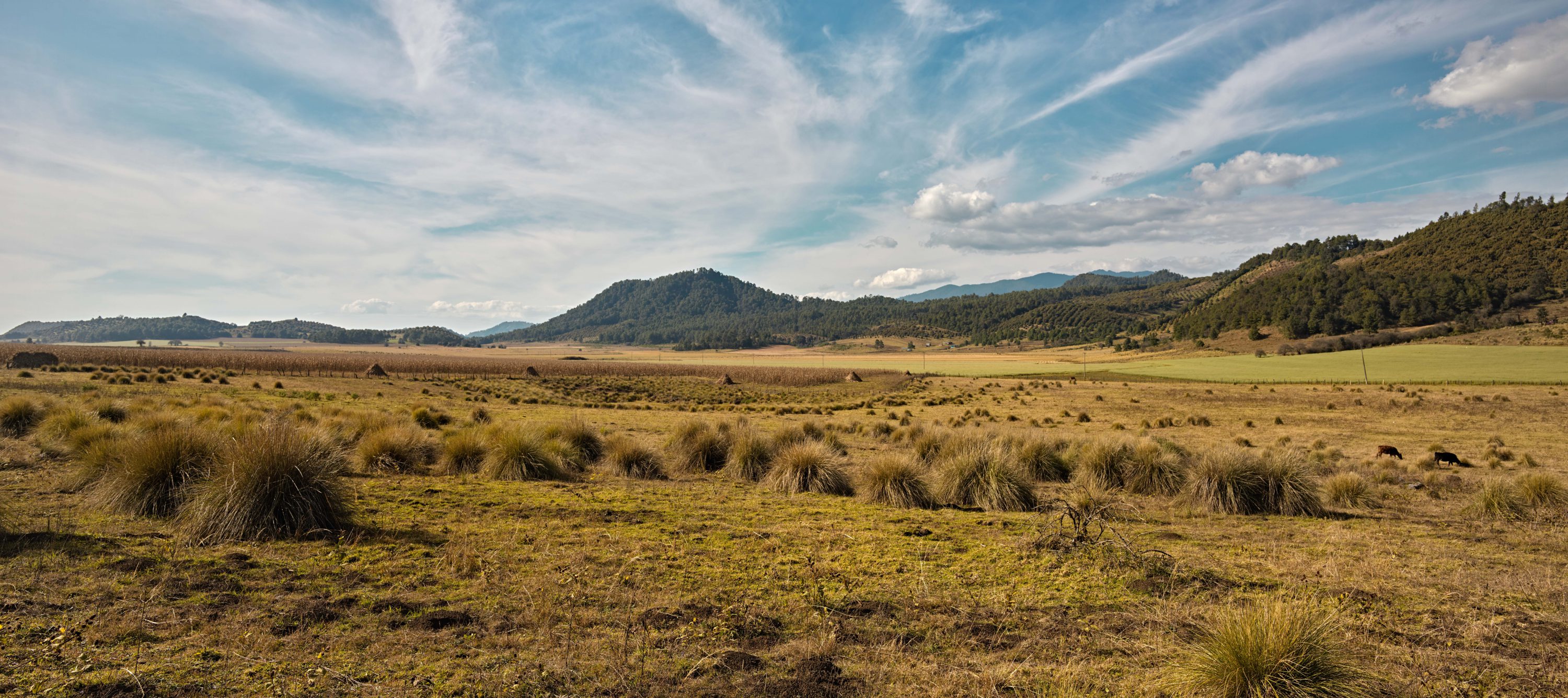 landscape mexico photography ruud sies