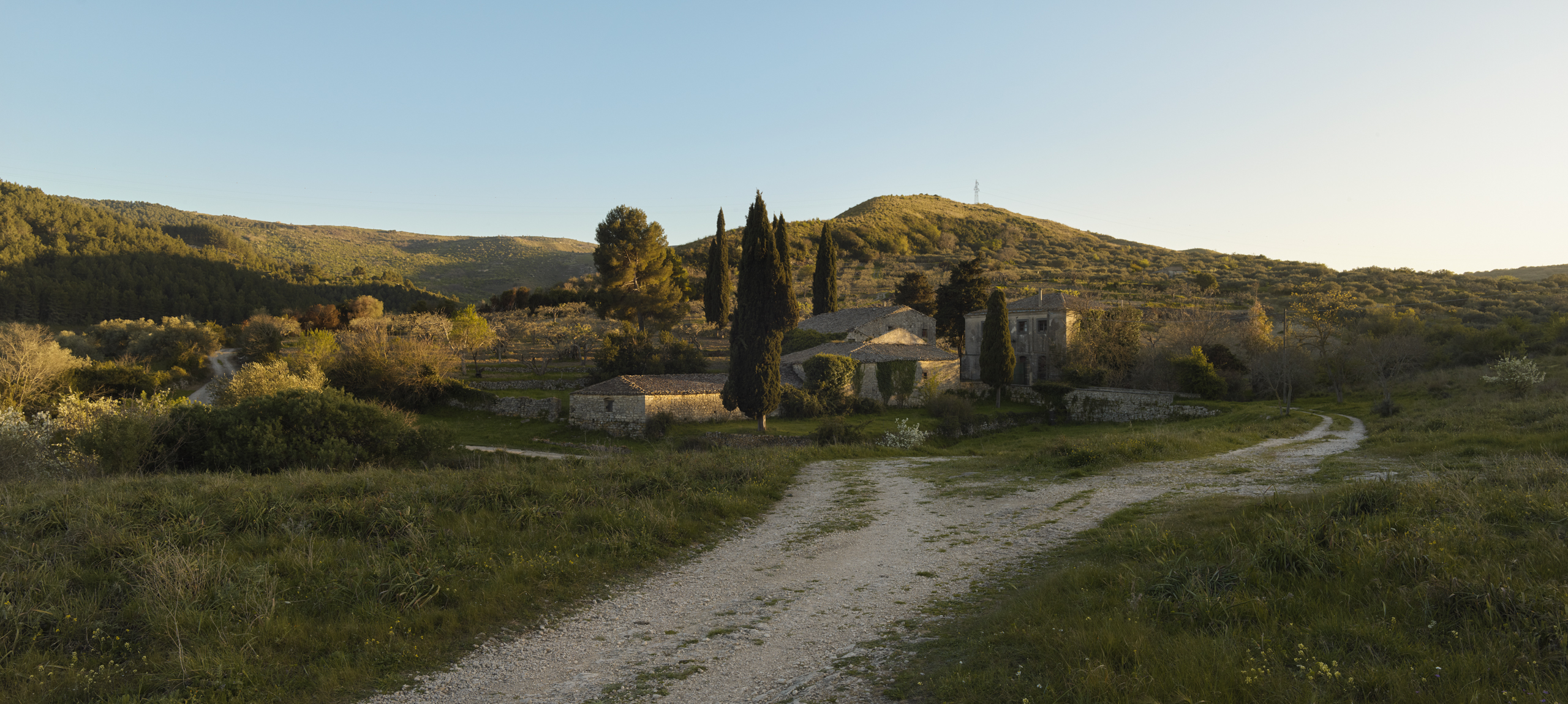 olive groves in buccheri sicily photographer ruud sies