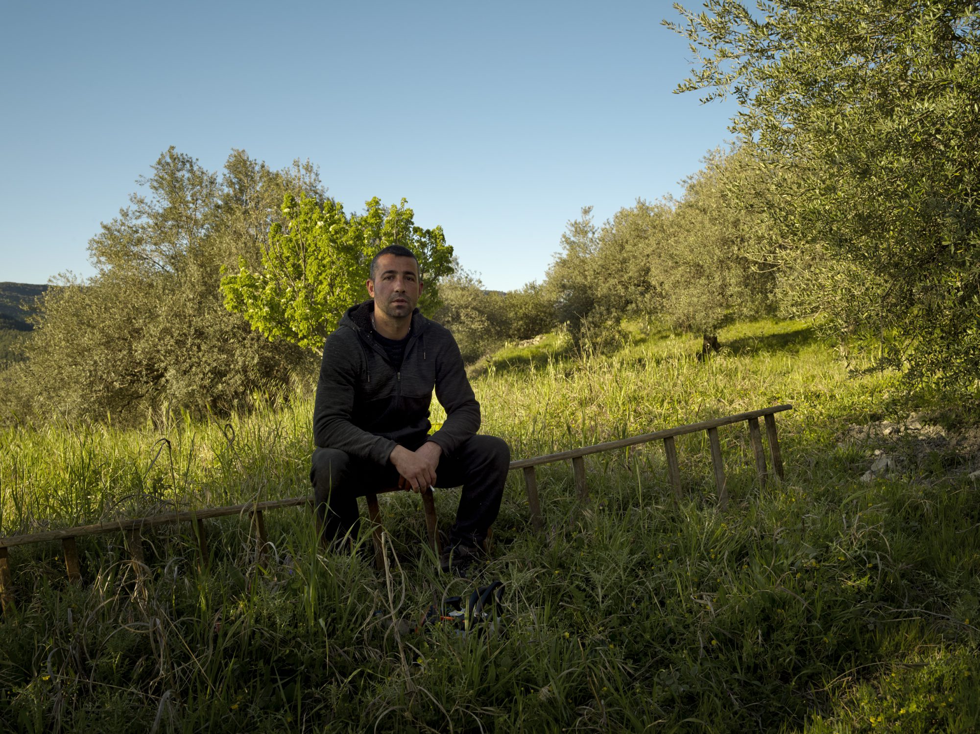 olive groves in buccheri sicily photographer ruud sies