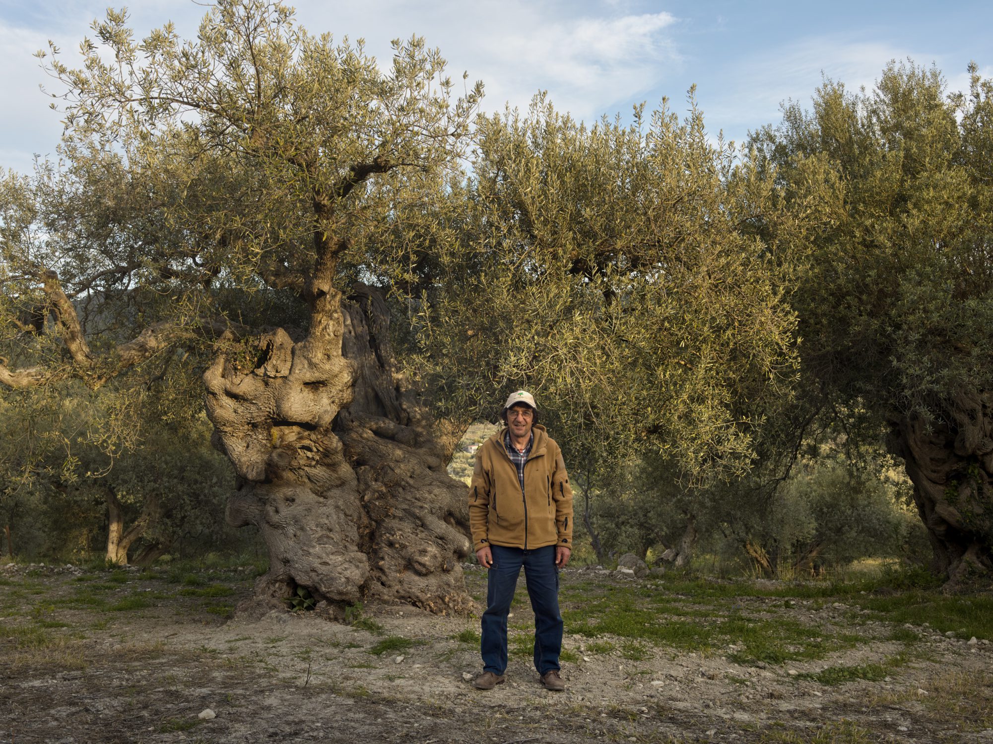 portrait Lorenzo Nicotra A story olive groves olive oil