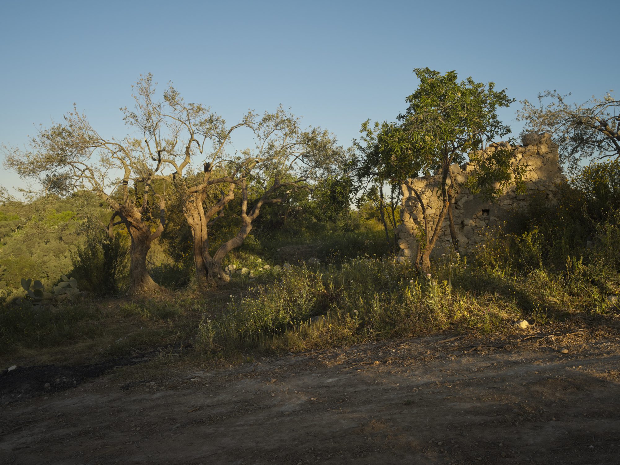 caffe Sicilia a story by corrado assenza for resilience food stories
