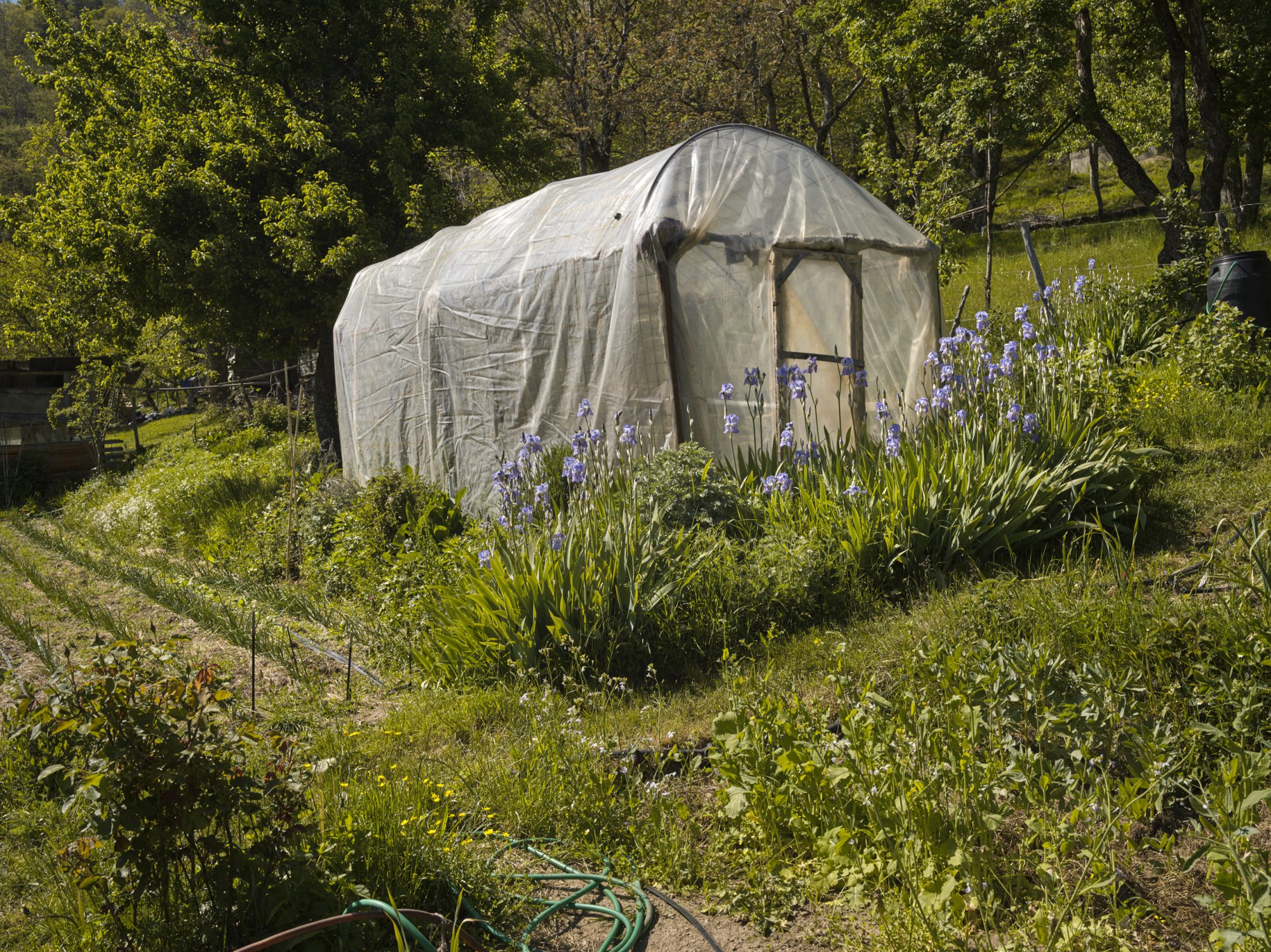 eco-villages in Italy a story for resilience food stories