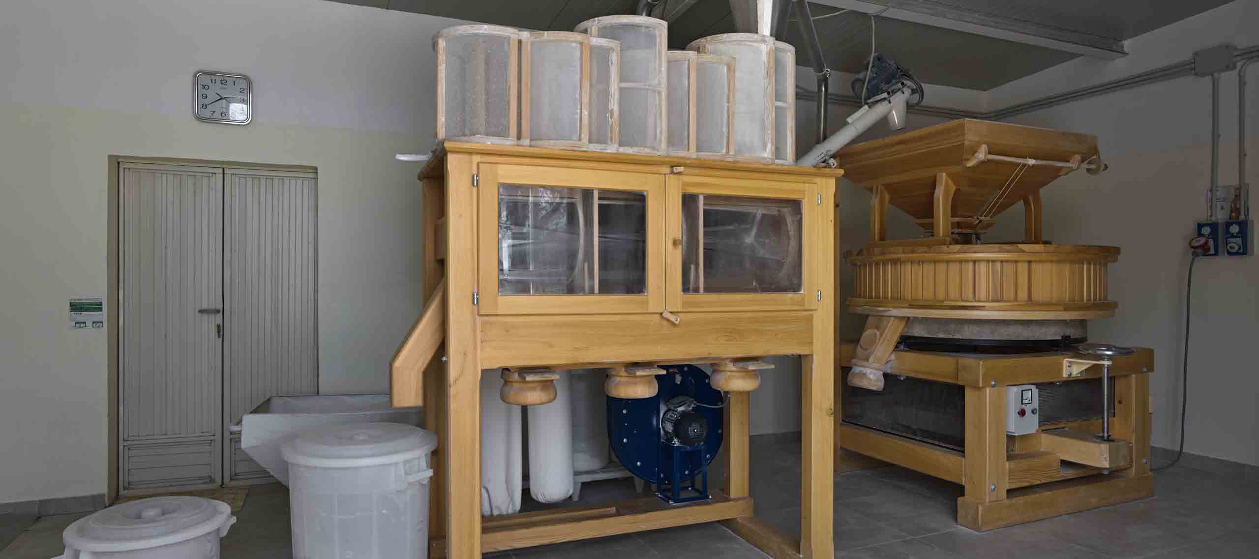 cultivating old wheat varieties in Italy