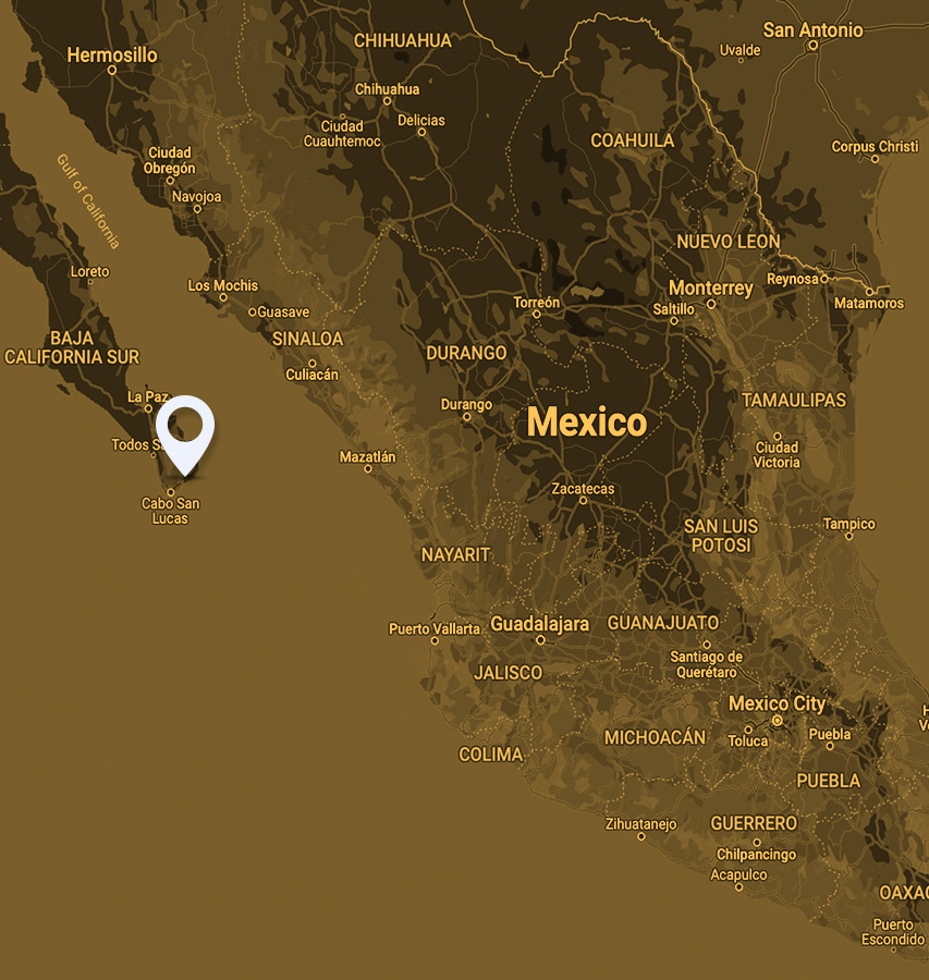 a journey through the world of resilient agriculture Mexico