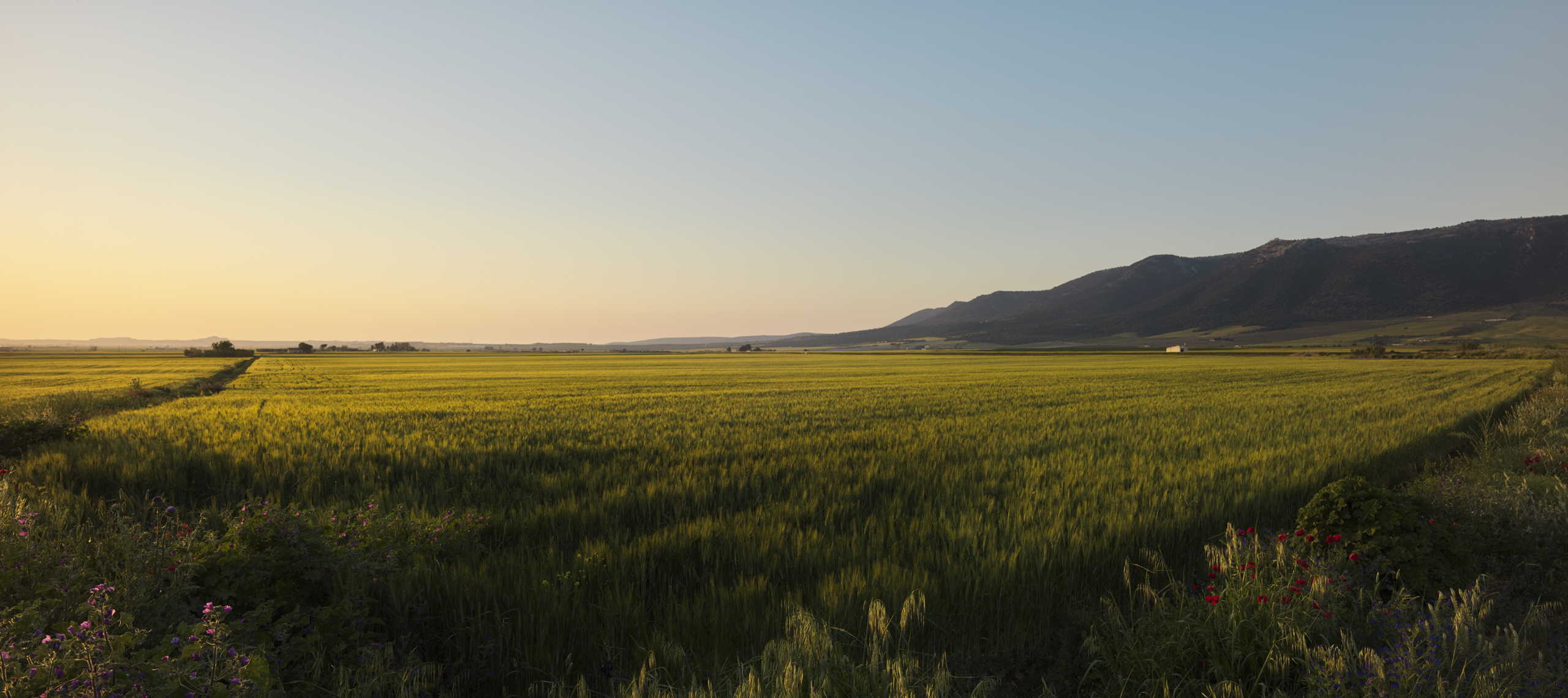 agricultural landscape italy resilience food stories