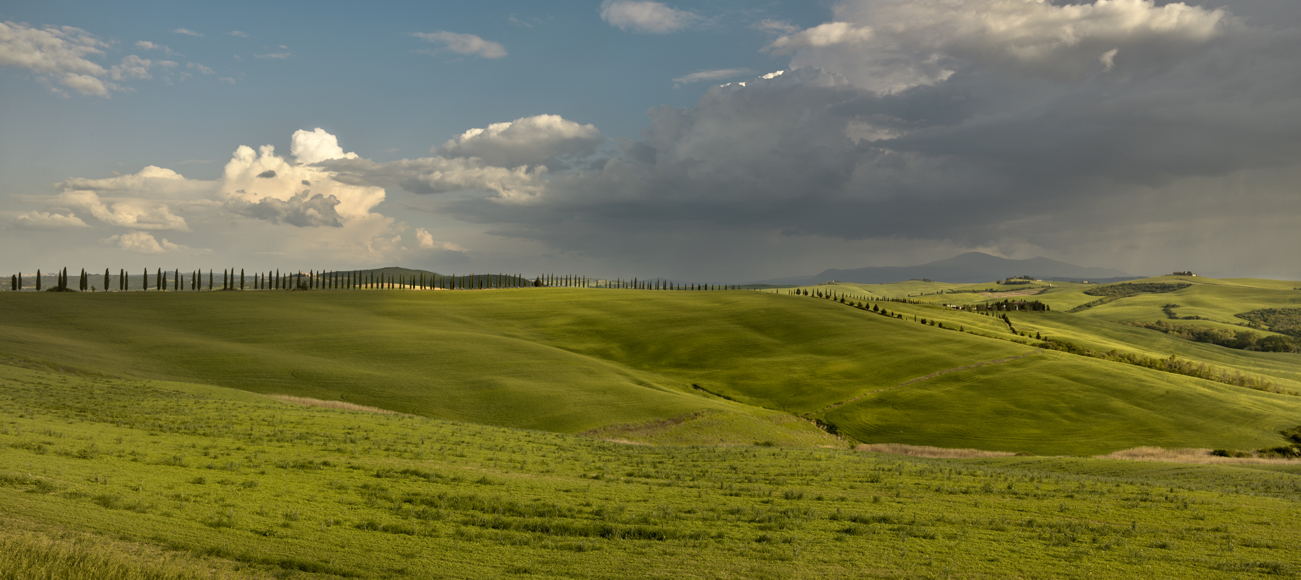 agricultural landscape italy resilience food stories