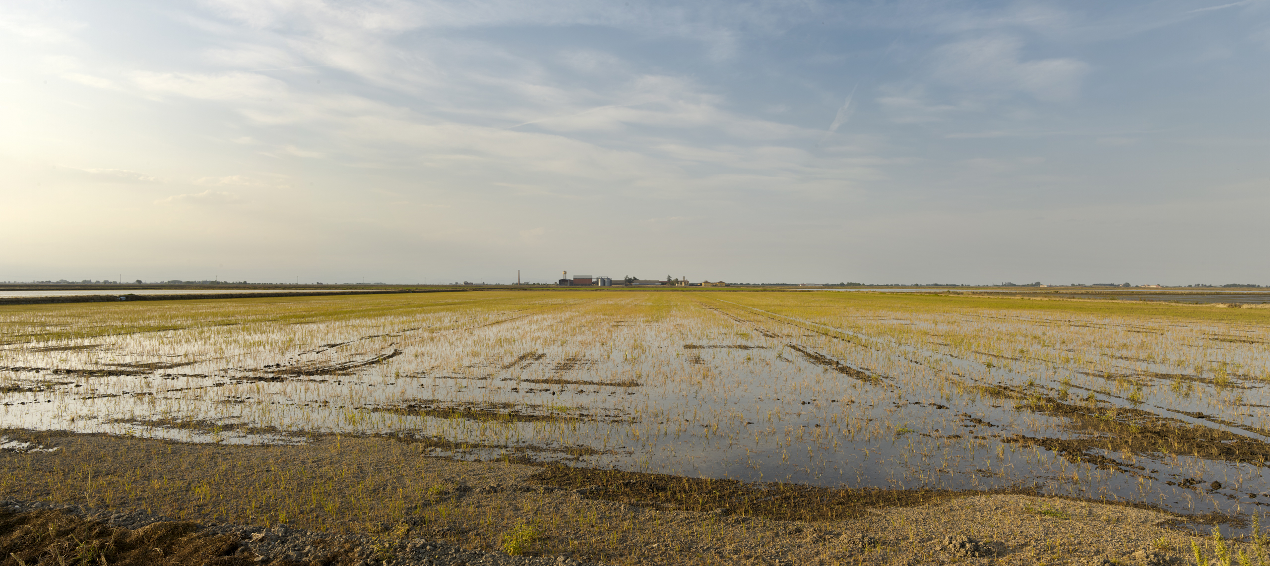 agricultural landscape italy resilience food stories