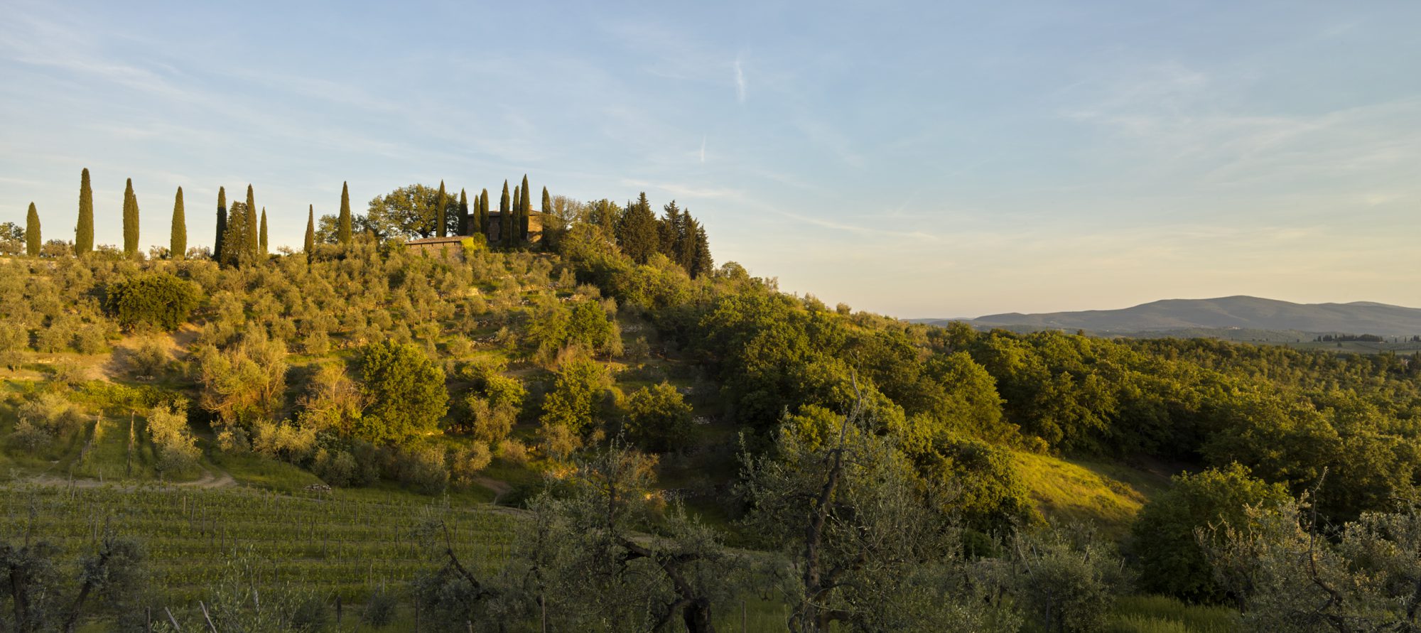 A hidden gem in the rolling hills of Tuscany - Resilience Food Stories