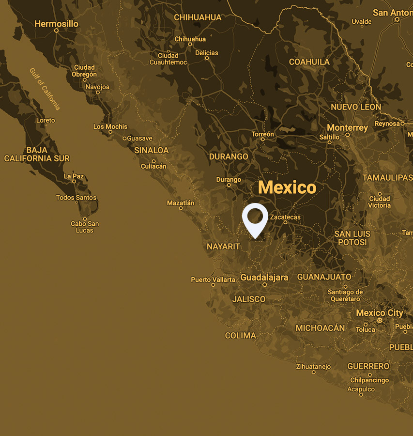 a journey through the world of resilient agriculture Mexico