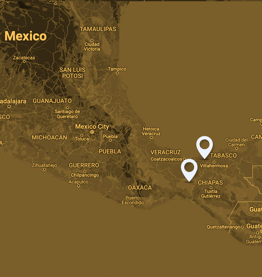 a journey through the world of resilient agriculture Mexico