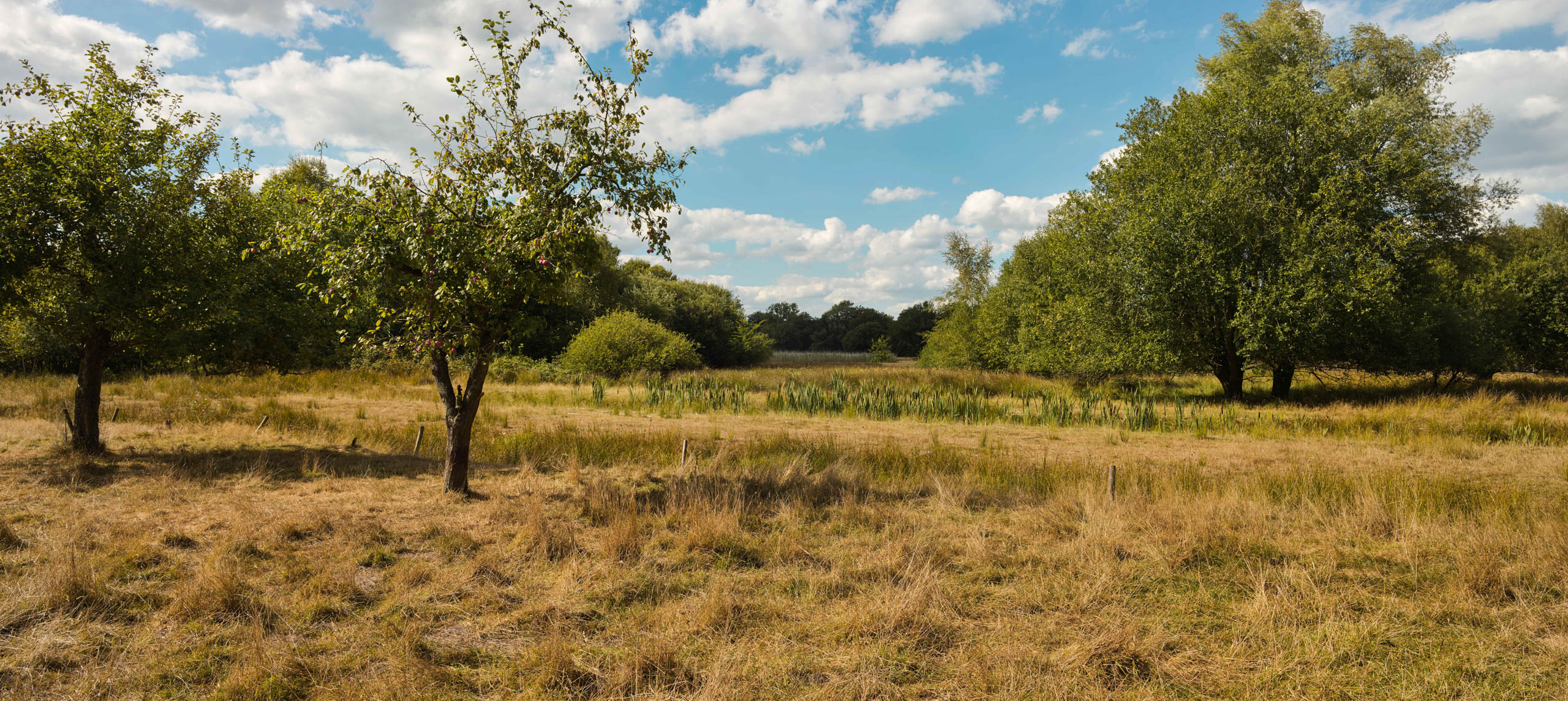 You are what you eat... story Resilience Food Stories longterm photodocumentary by Ruud Sies