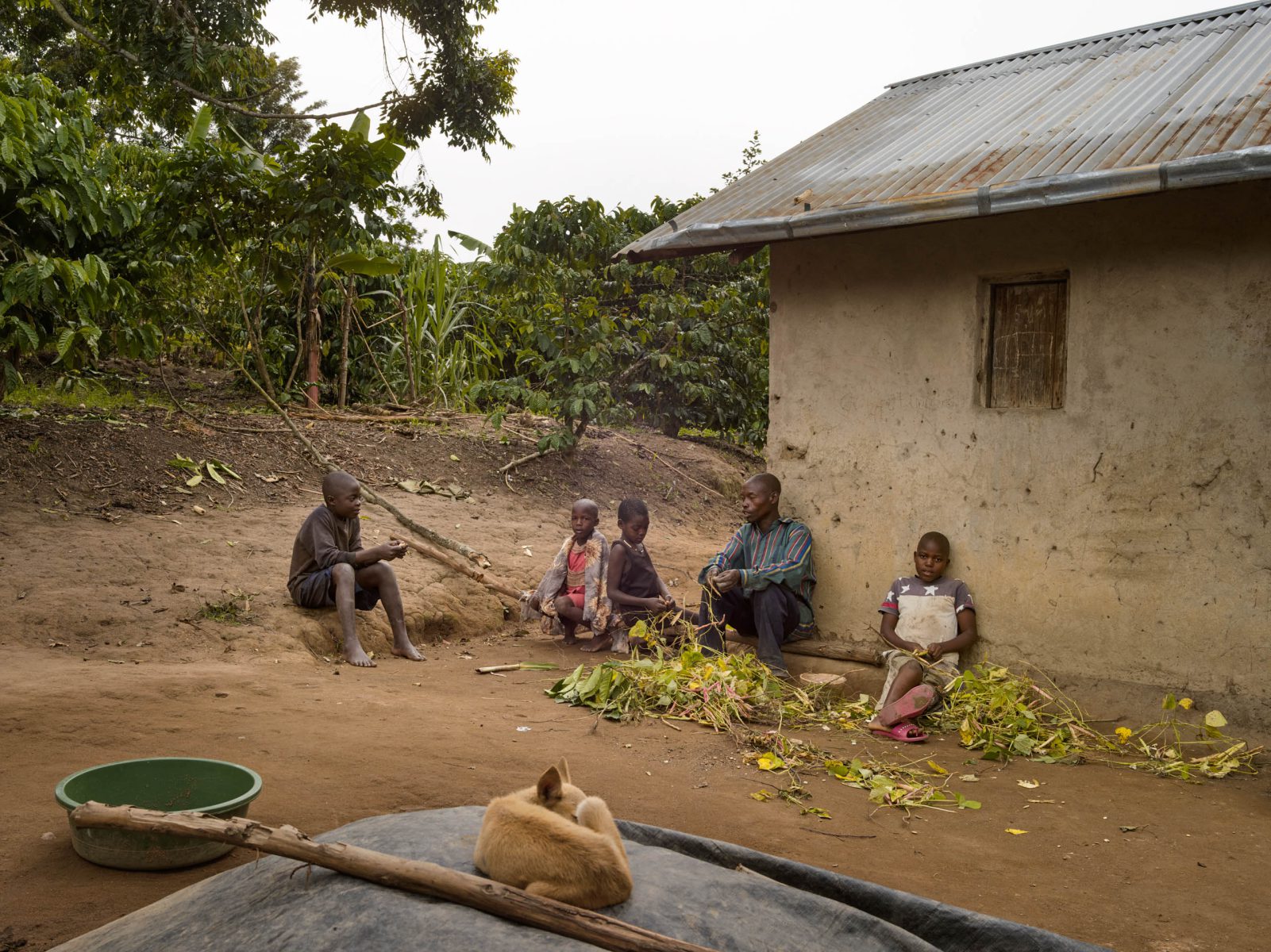 The Smallholders Of Uganda - Resilience Food Stories