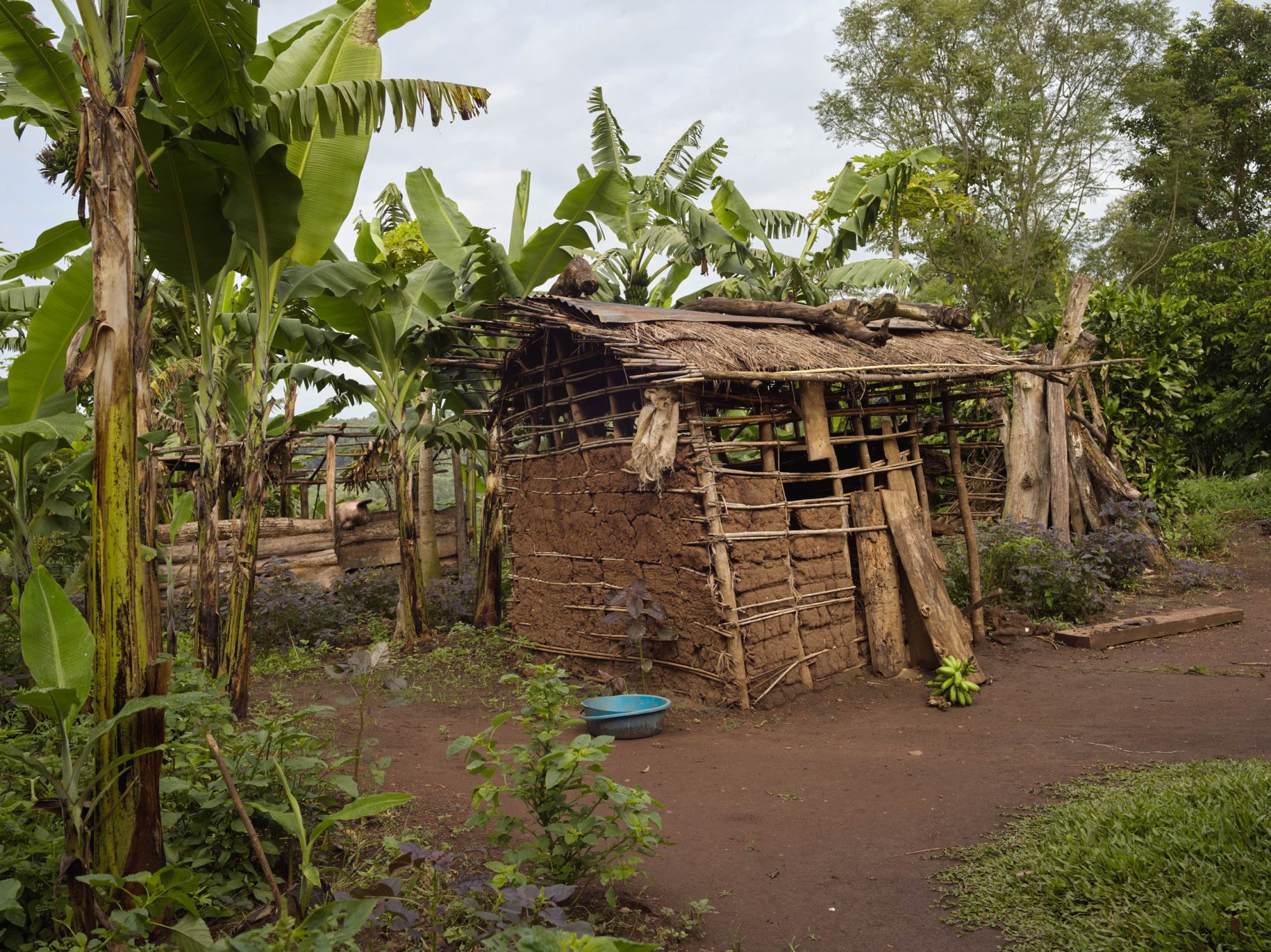 homestead organic small farmers practicing agroecology