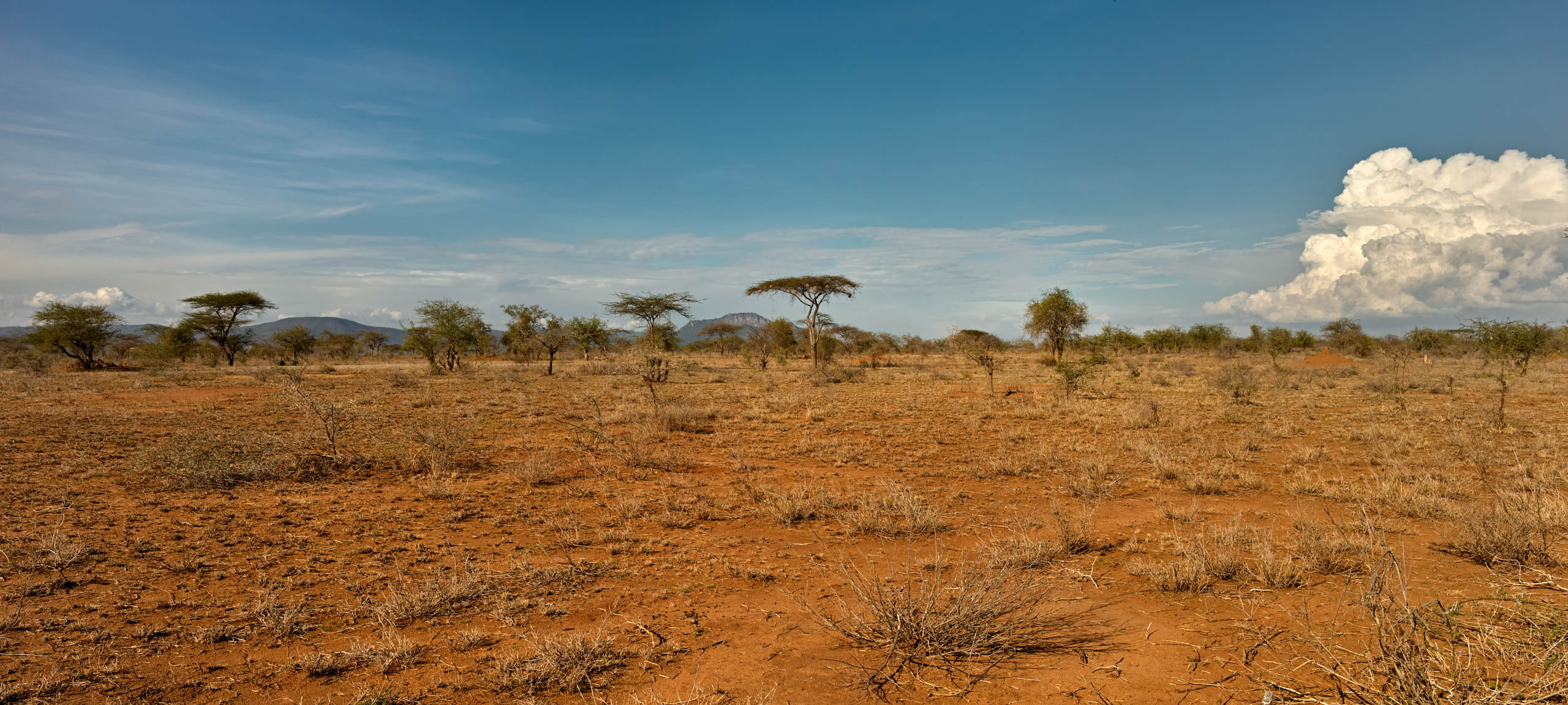 Kenya has a tropical climate stories on sustainable agricultural practices in Africa