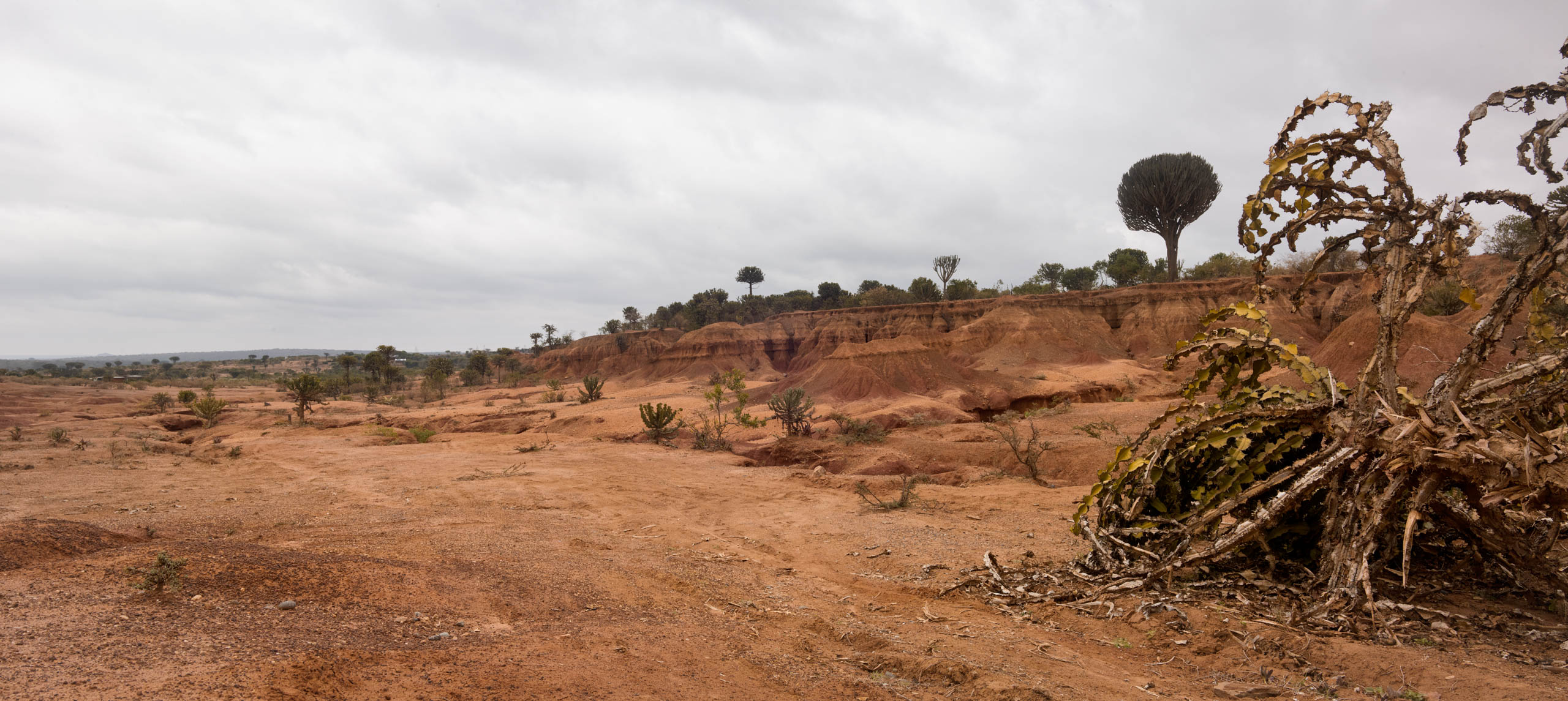 Climate change has been occurring in Kenya for years