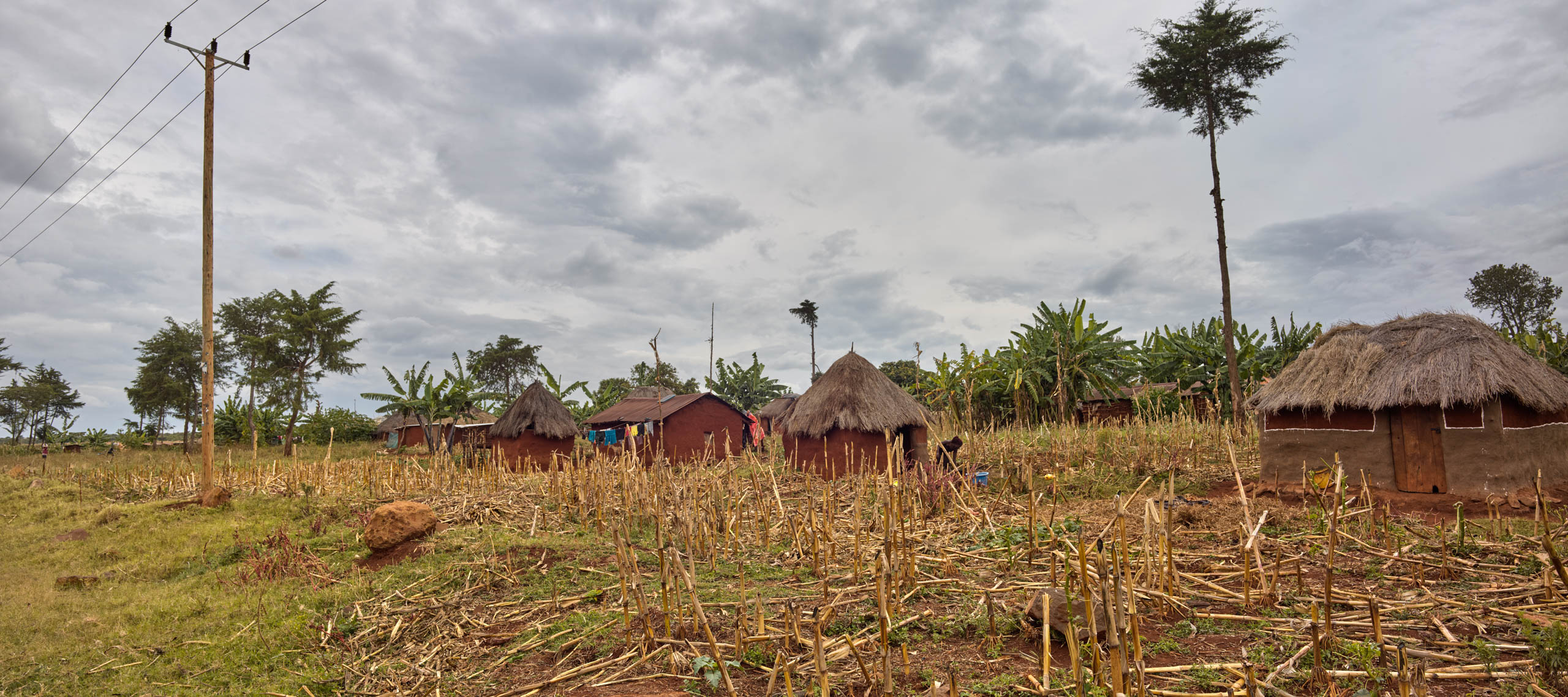 driving up to Mount Elgon Orchards to meet Bob Andersen