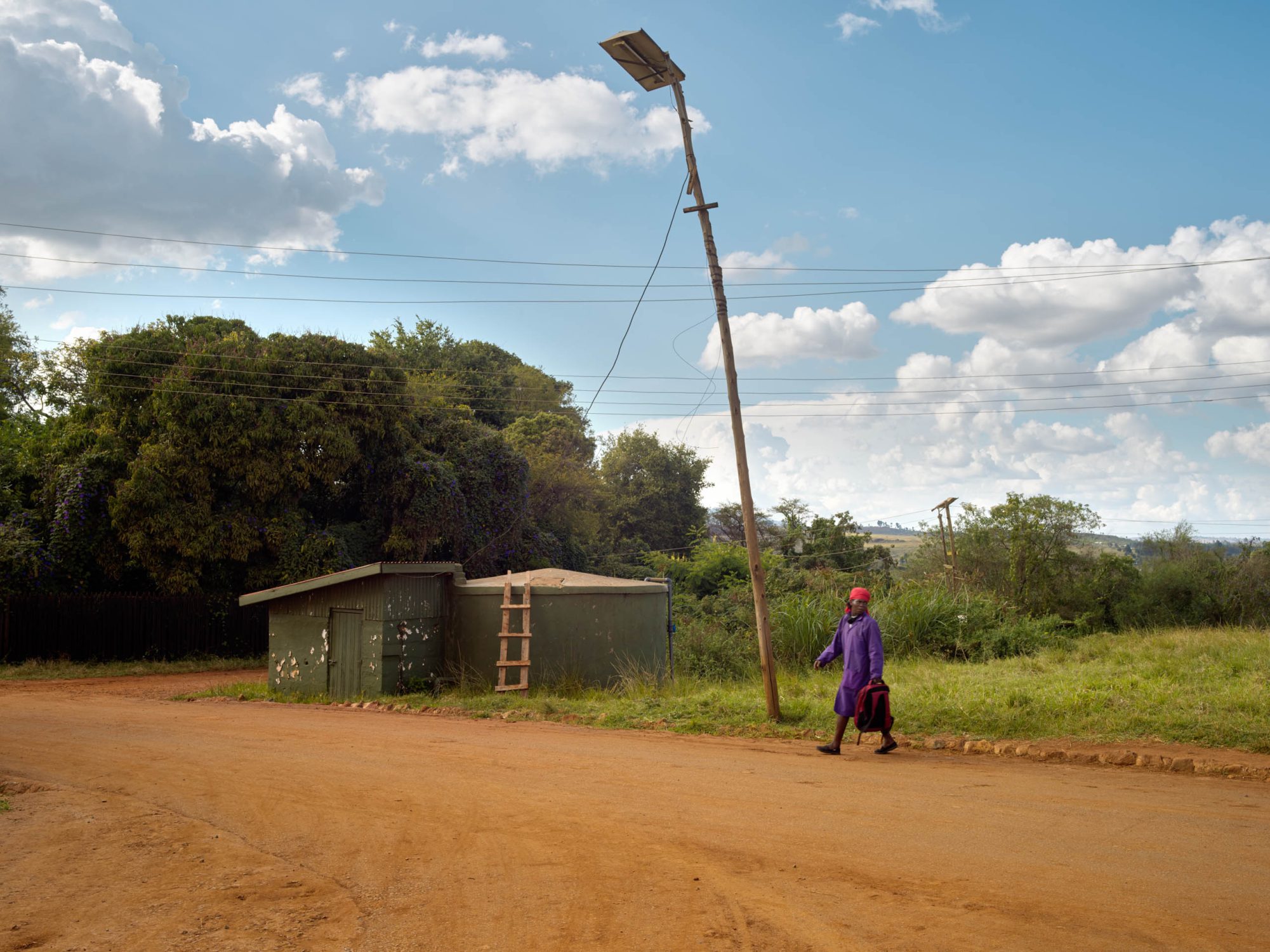 a story on growing sustainable avocados in Africa Kenya