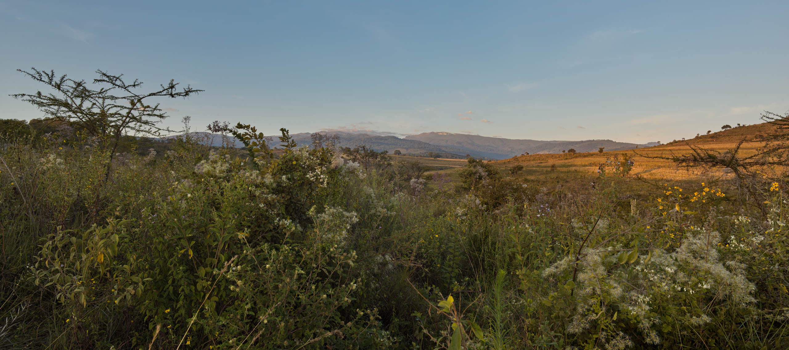 rewilding the land to benefit biodiversity