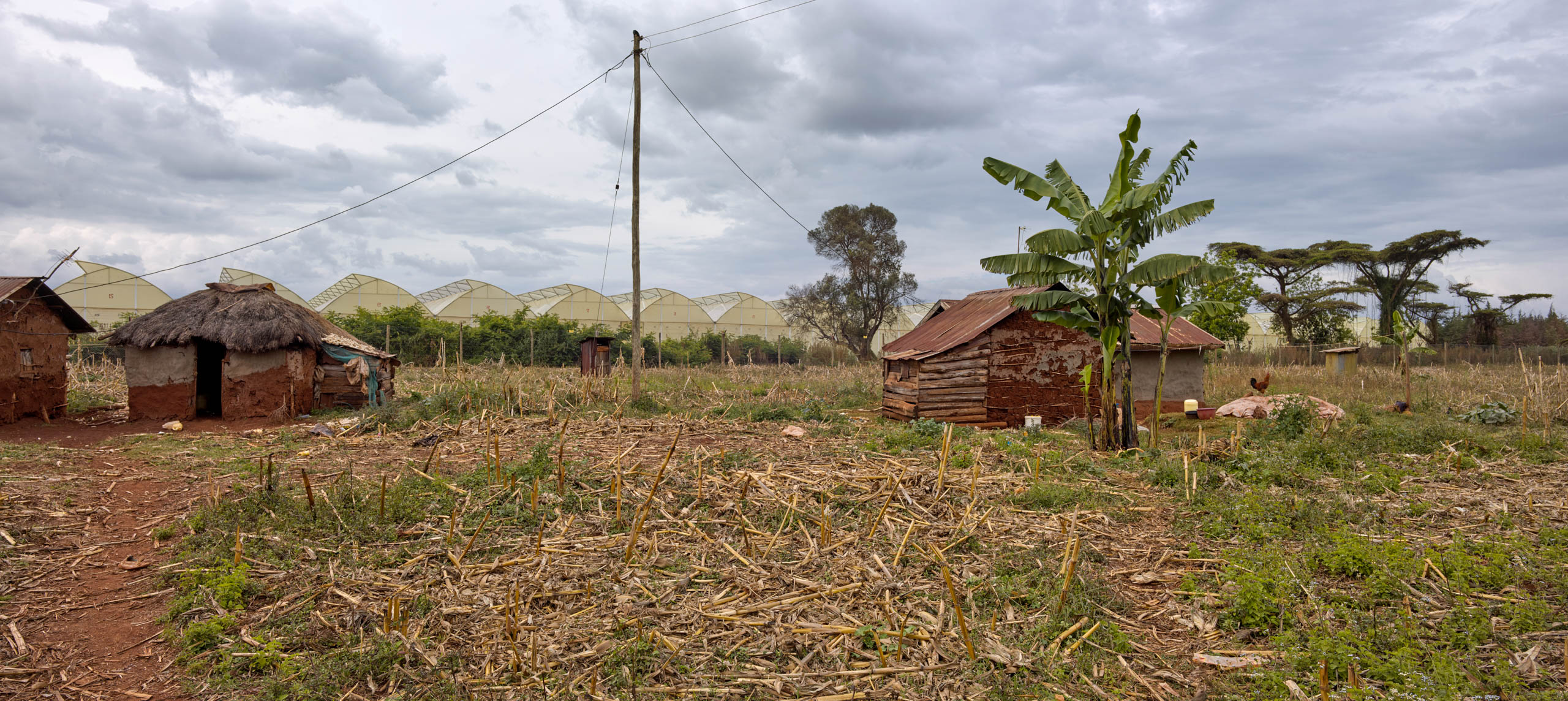 We’re on our way to Mount Elgon Orchards for a meeting with Bob Andersen.