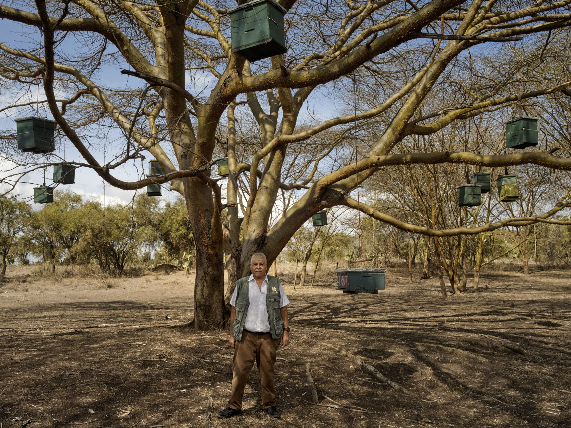 ernest Simeoni working with the African bee a story on the need for beekeeping in Africa kenya