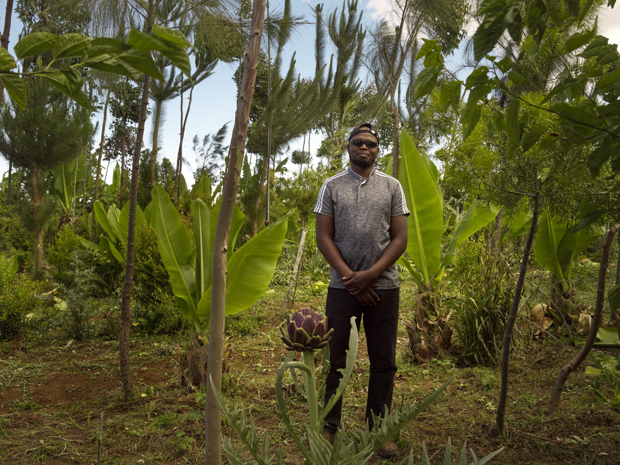 Syntropic Agroforestry - Resilience Food Stories