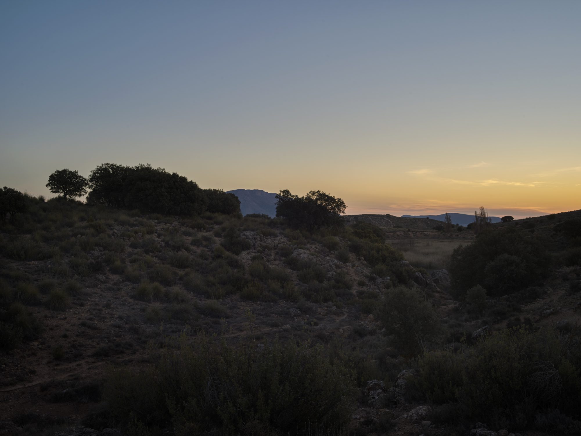 La Junquera Murcia Regenerative Agriculture practices