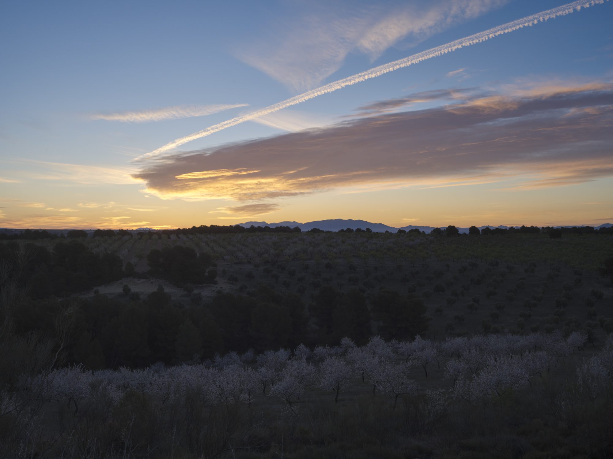 landscape as part of the story made in Spain on regenerative agriculture by photographer Ruud Sies