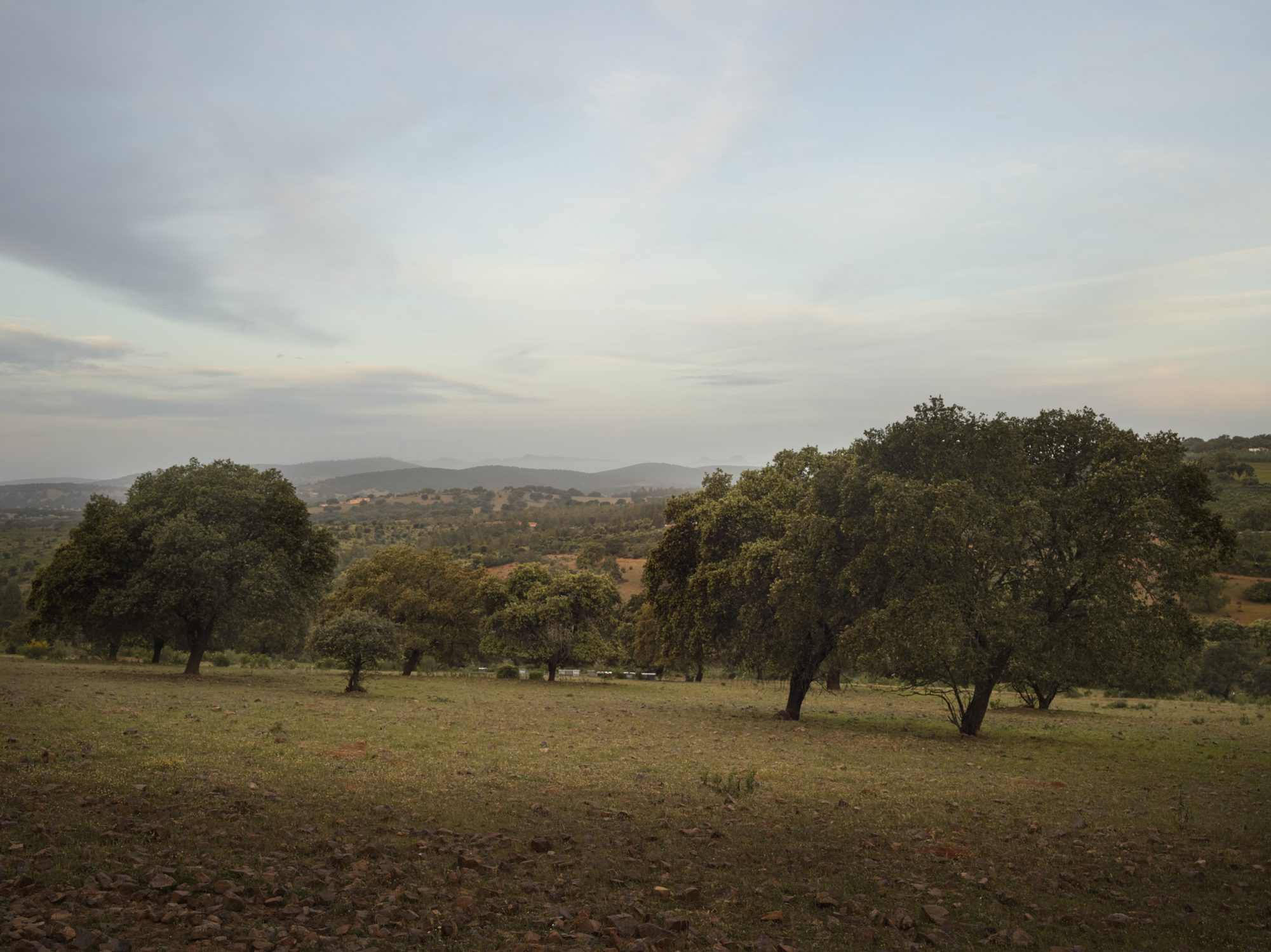 Spain Munos Nuevos regenerative agriculture