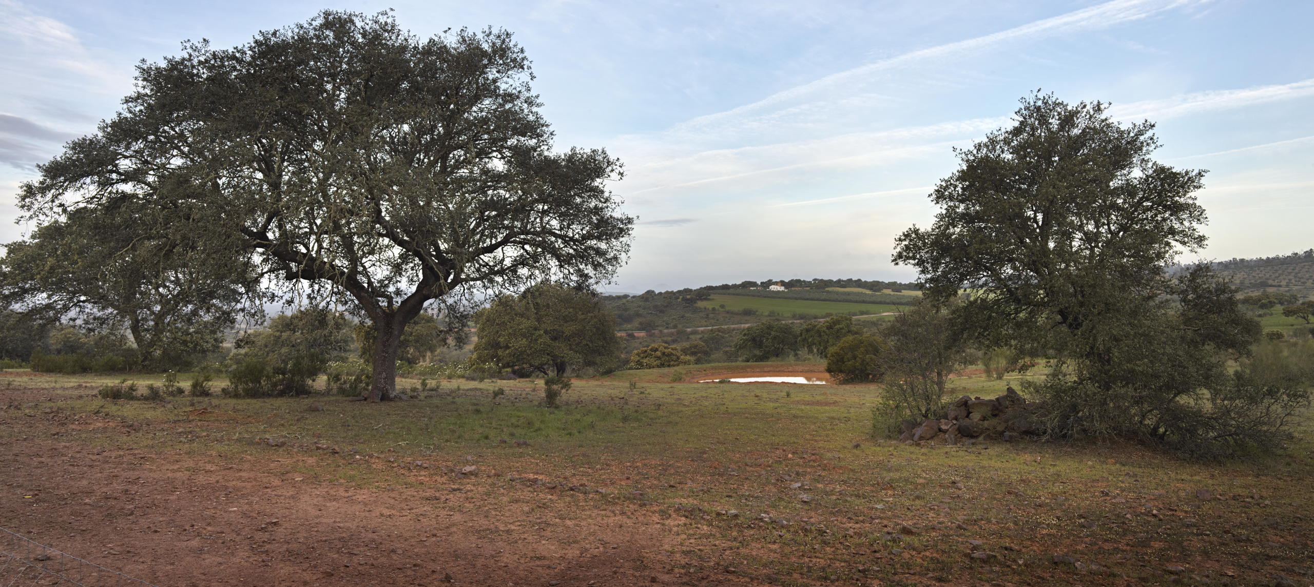 mundos neuvos Regenerative Agriculture in spain