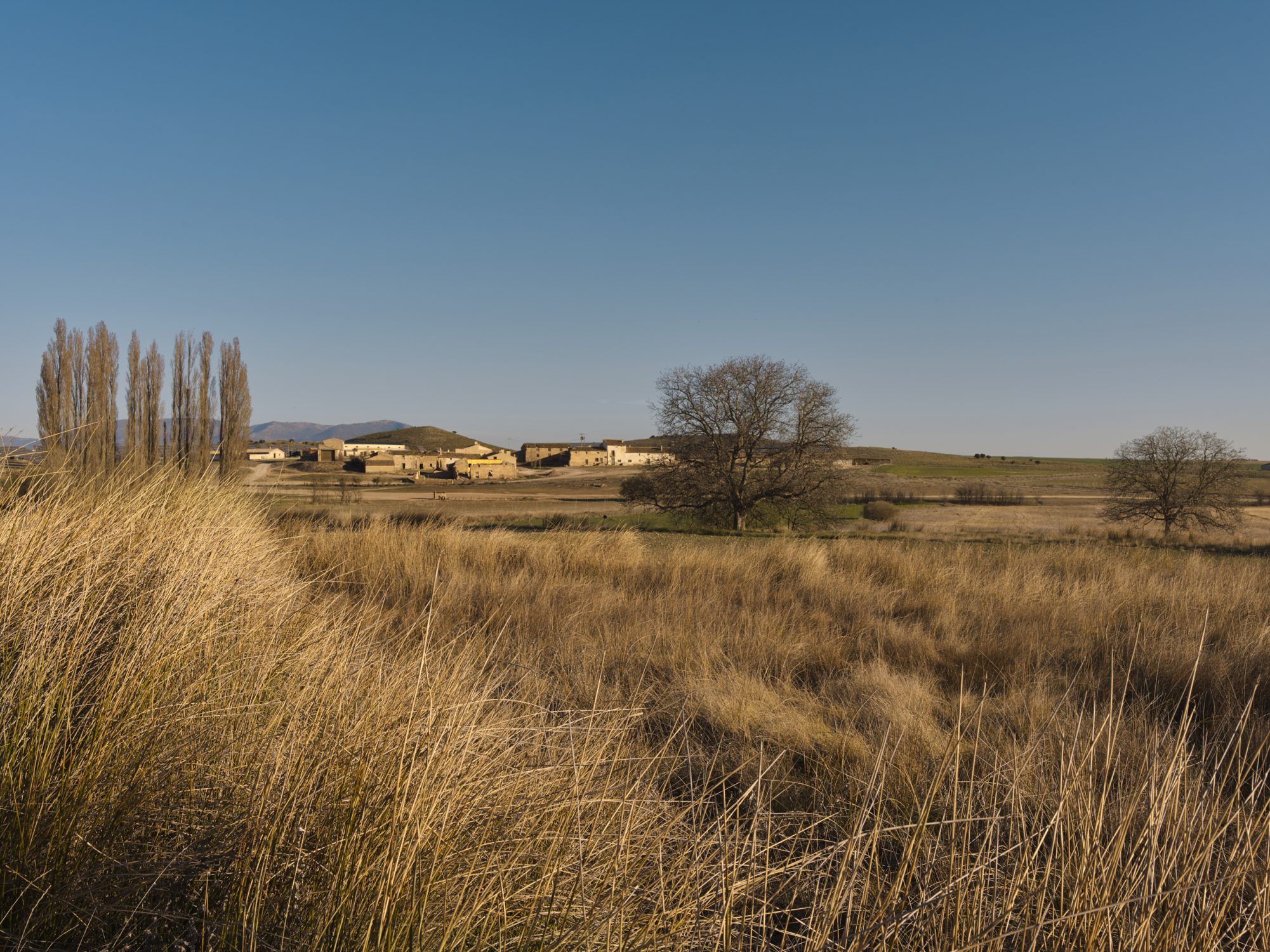 La Junquera Murcia Regeneration Academy