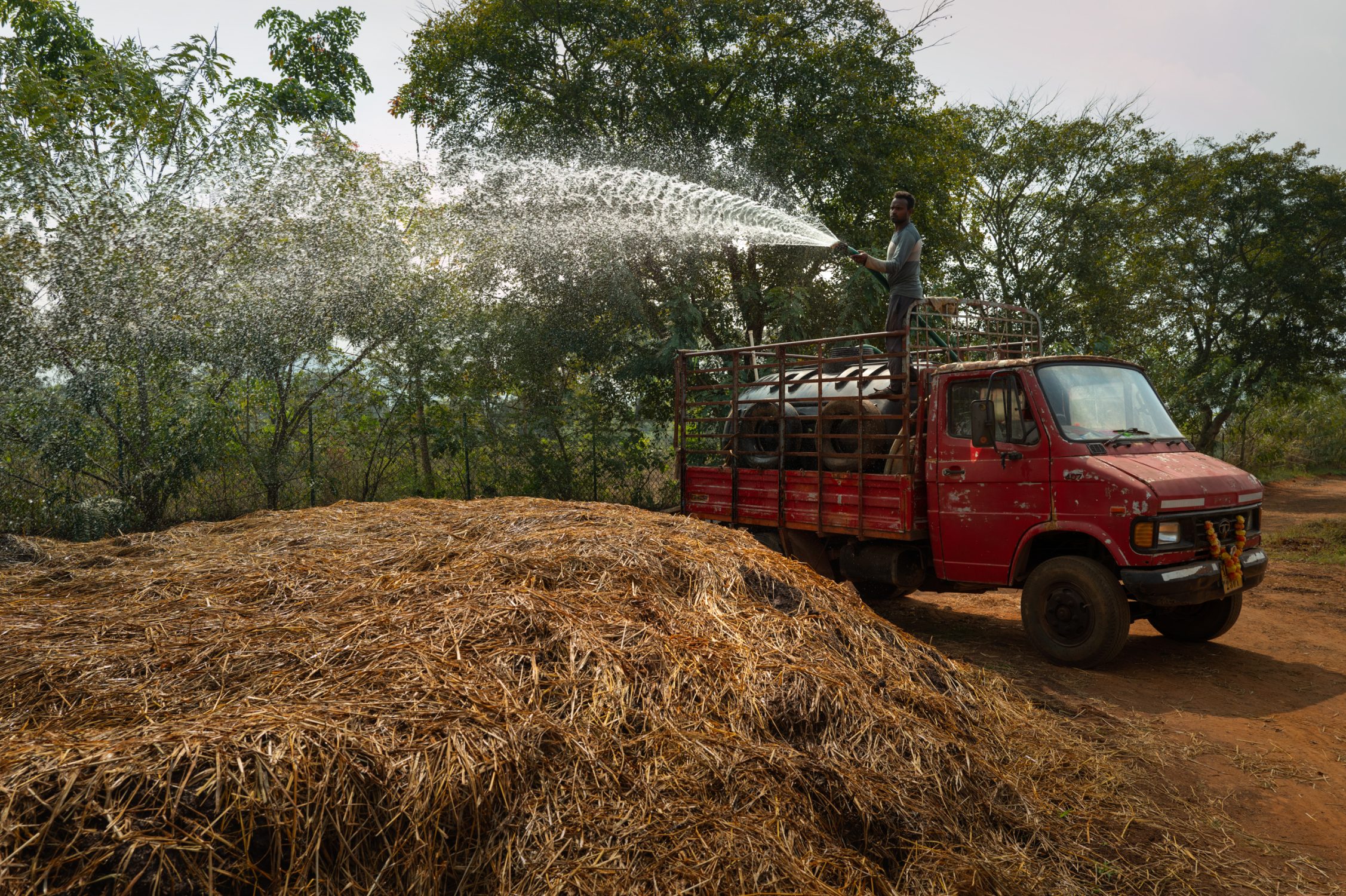 regenerative farming in india bringing back the forest