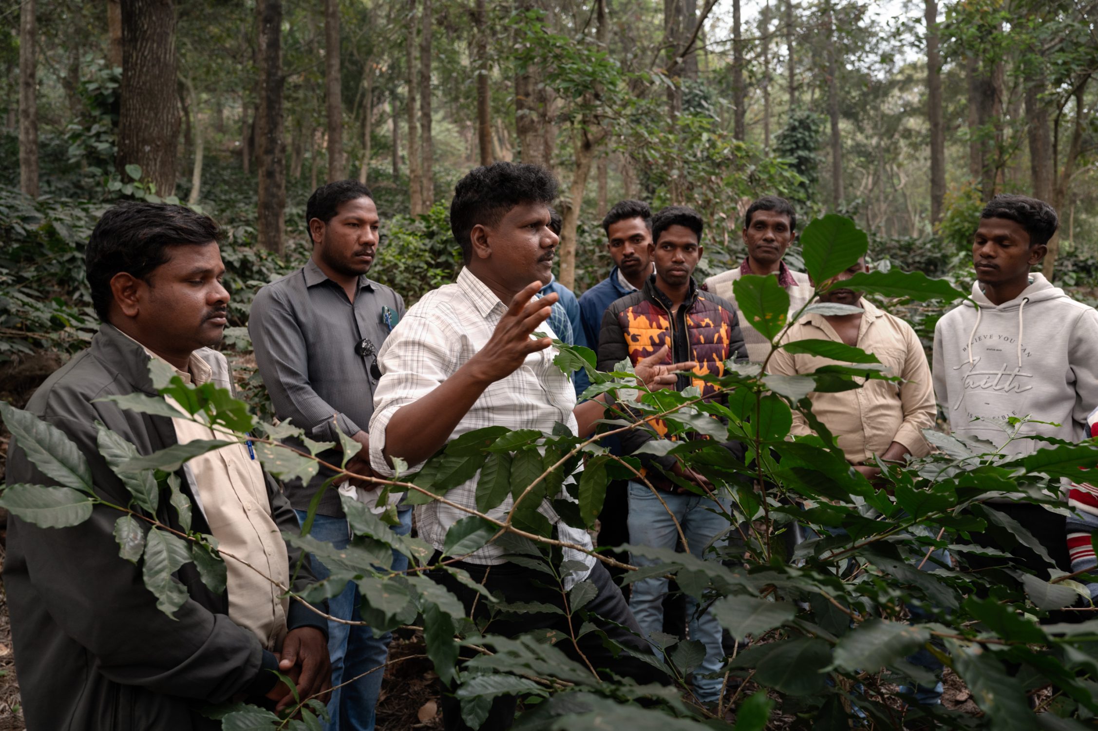bringing back the forest regenerative farming in india