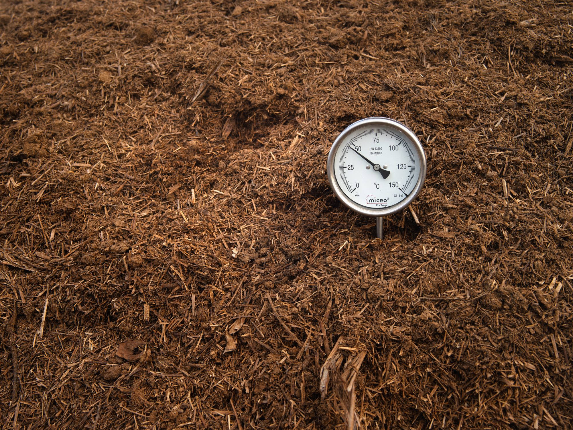 regenerative farming in india bringing back the forest