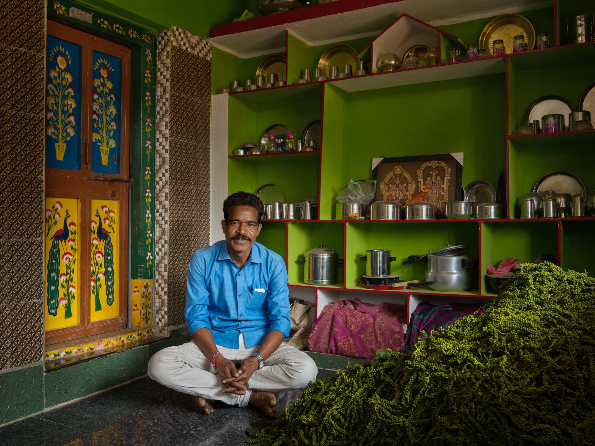 bringing back the forest regenerative farming in india