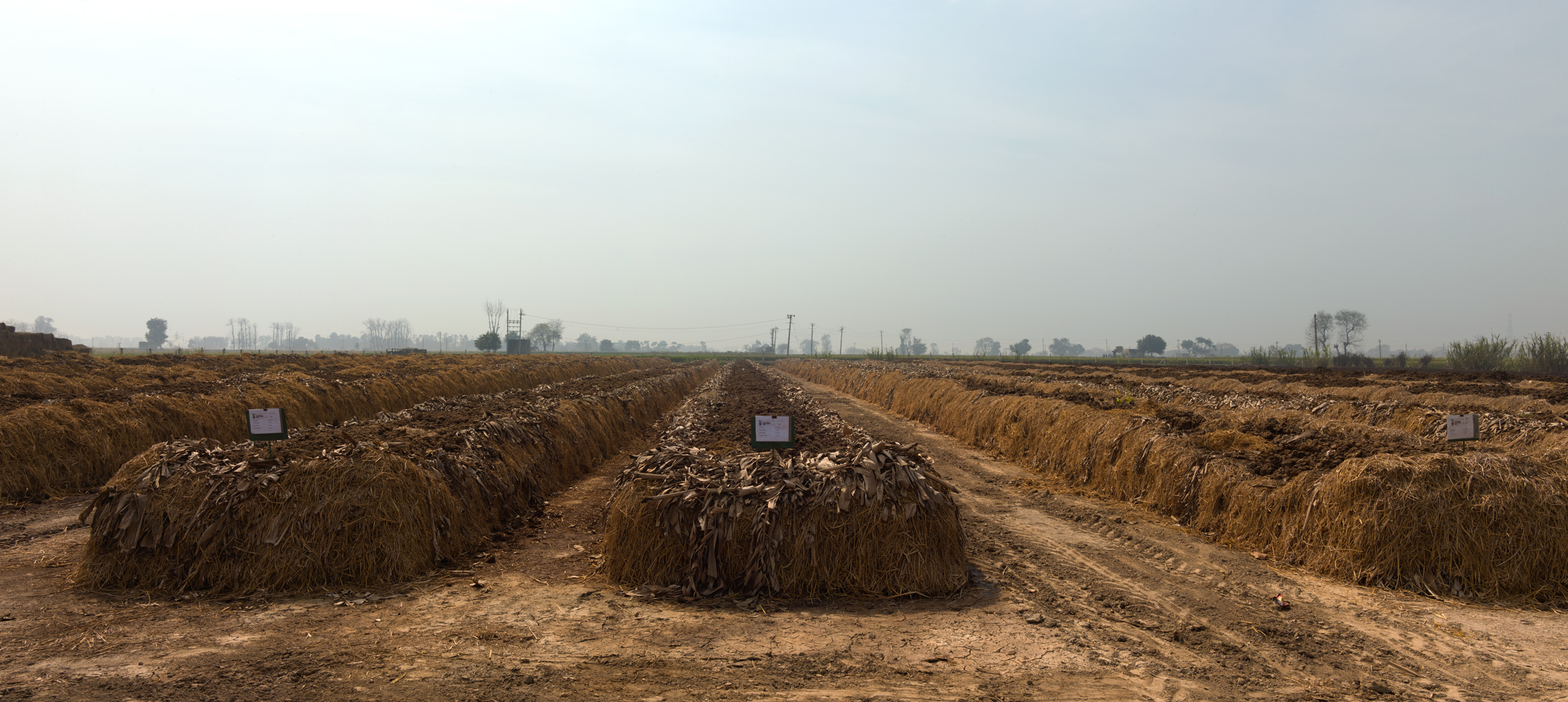 regenerative agriculture India urban farming composting