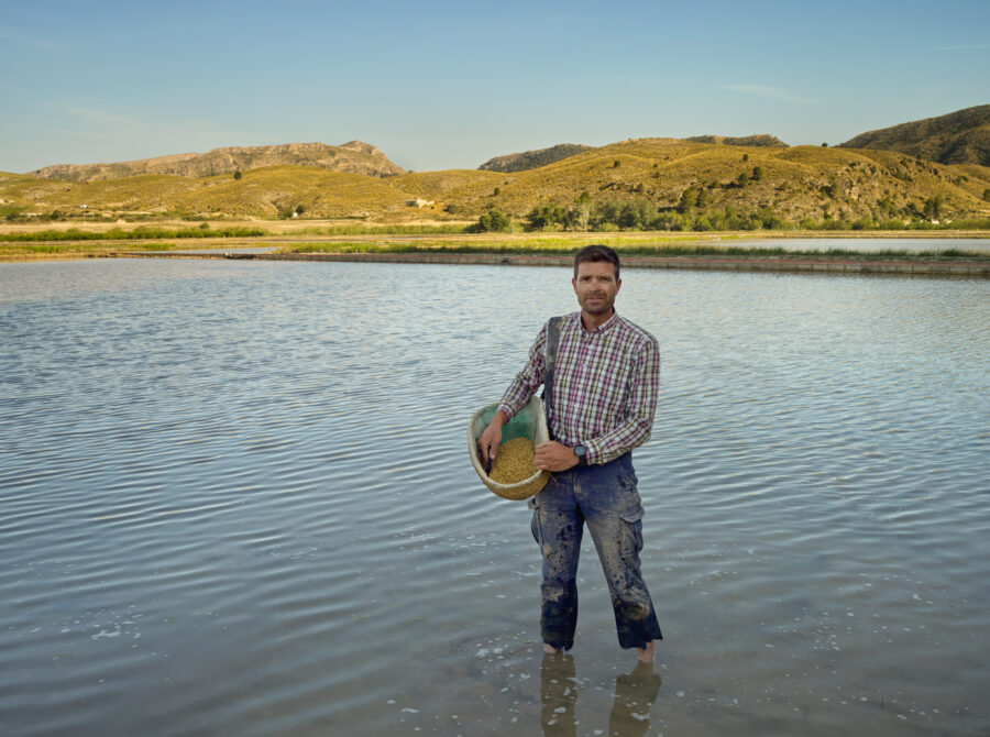 Juan Egea López Rice grower